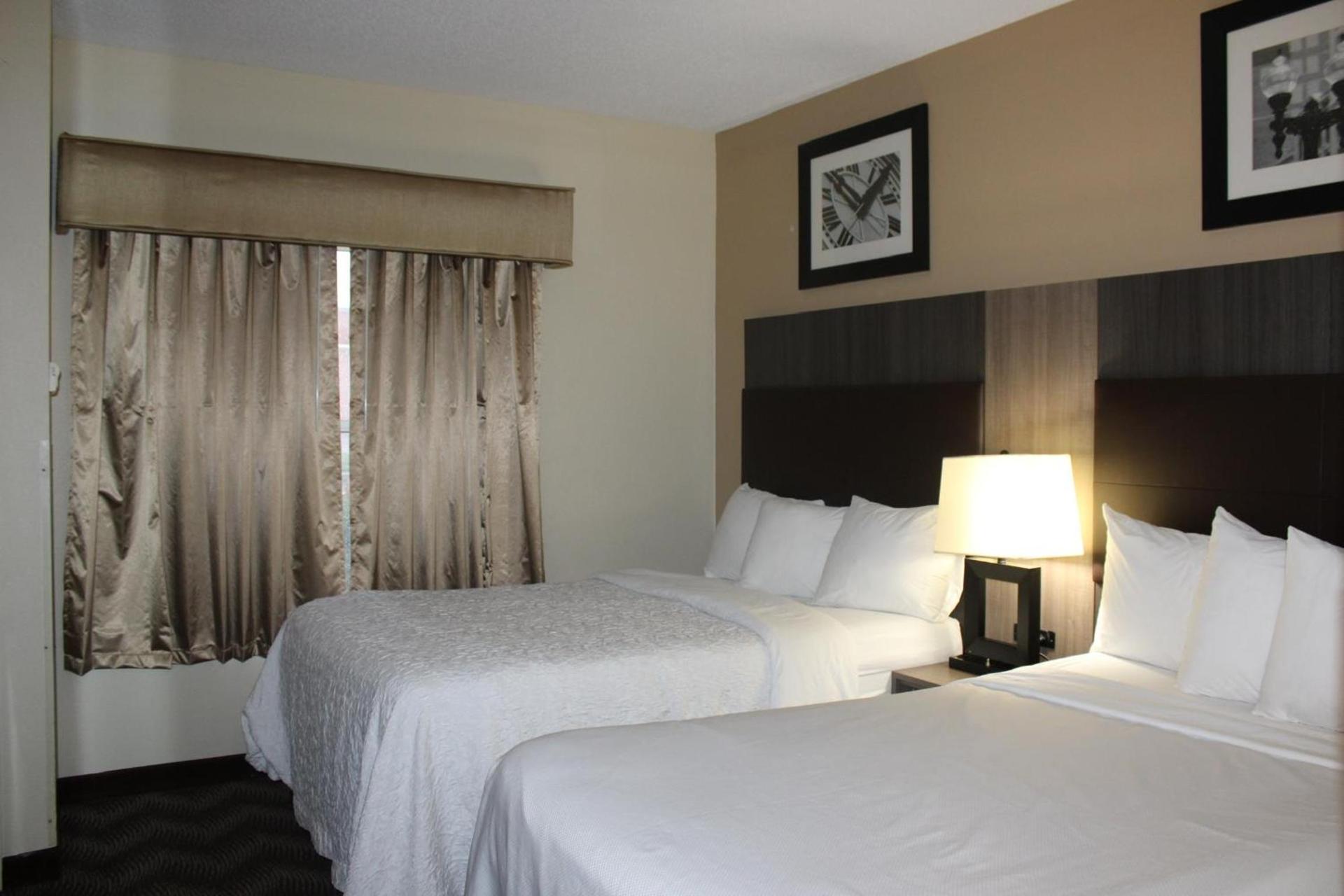 Quality Suites photo 51