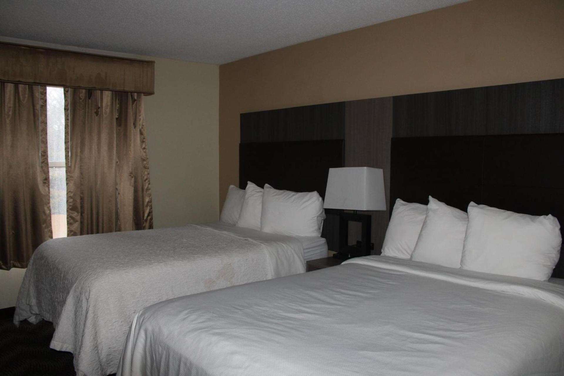 Quality Suites photo 61