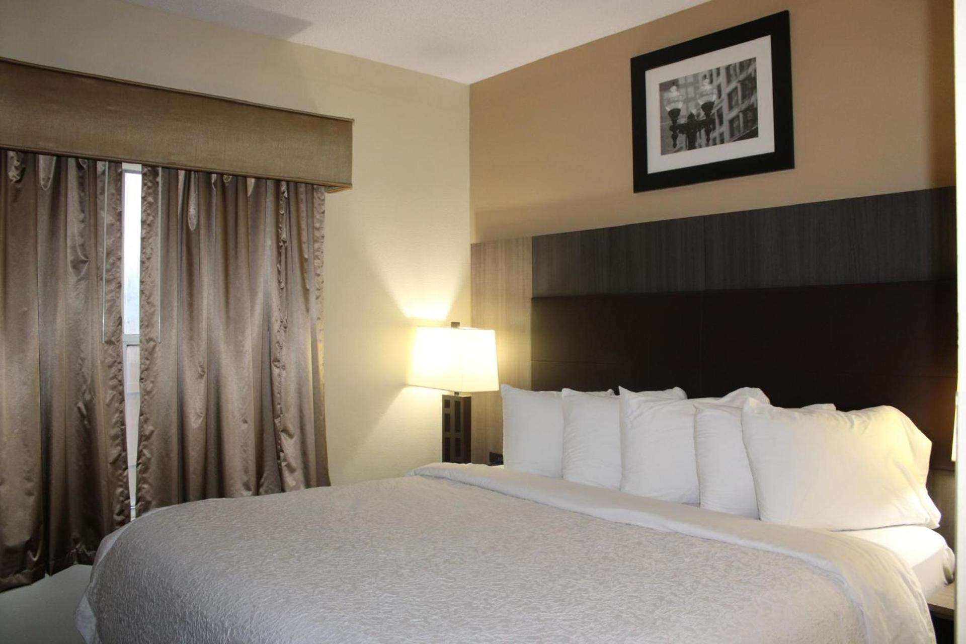 Quality Suites photo 66