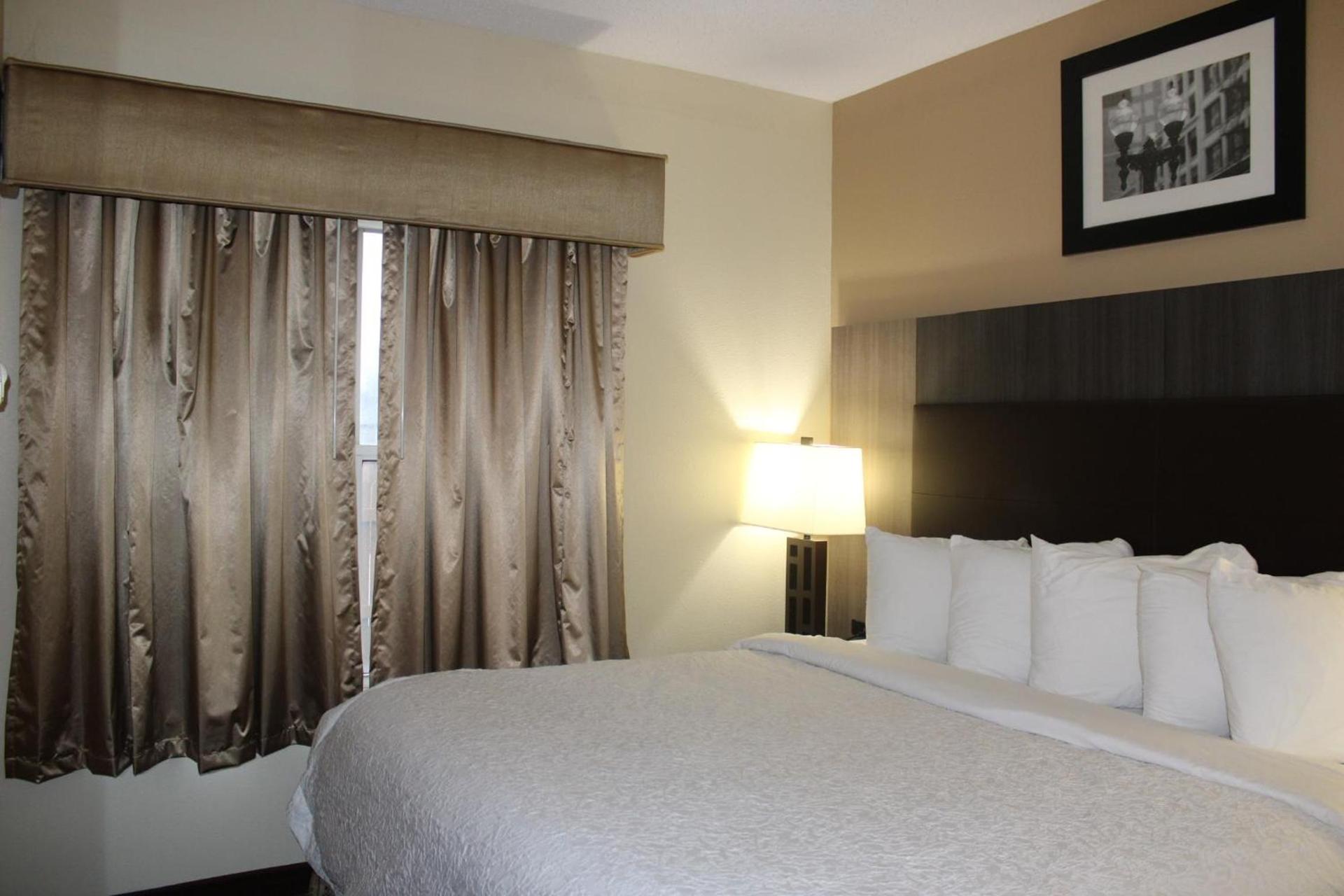 Quality Suites photo 73