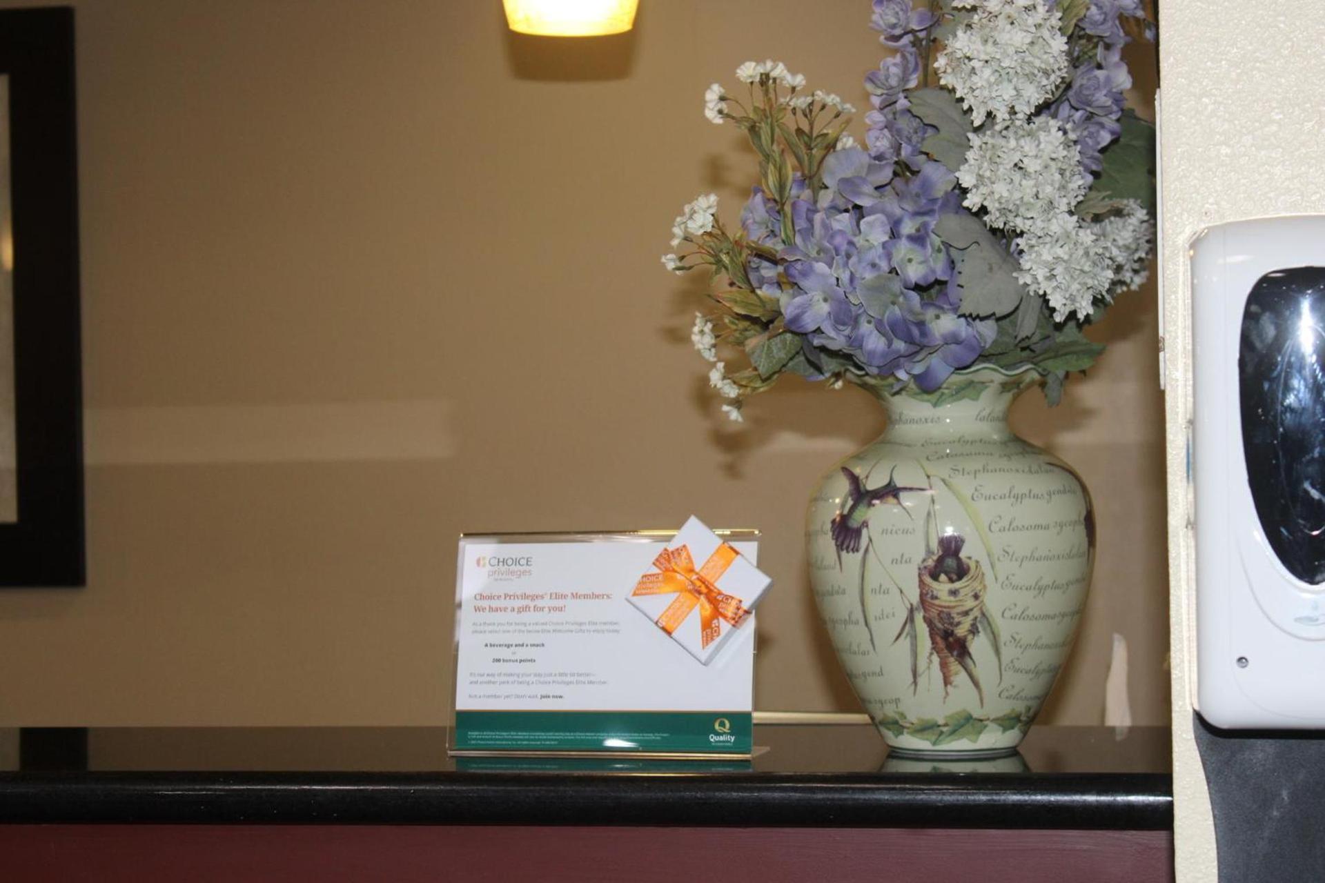Quality Suites photo 75