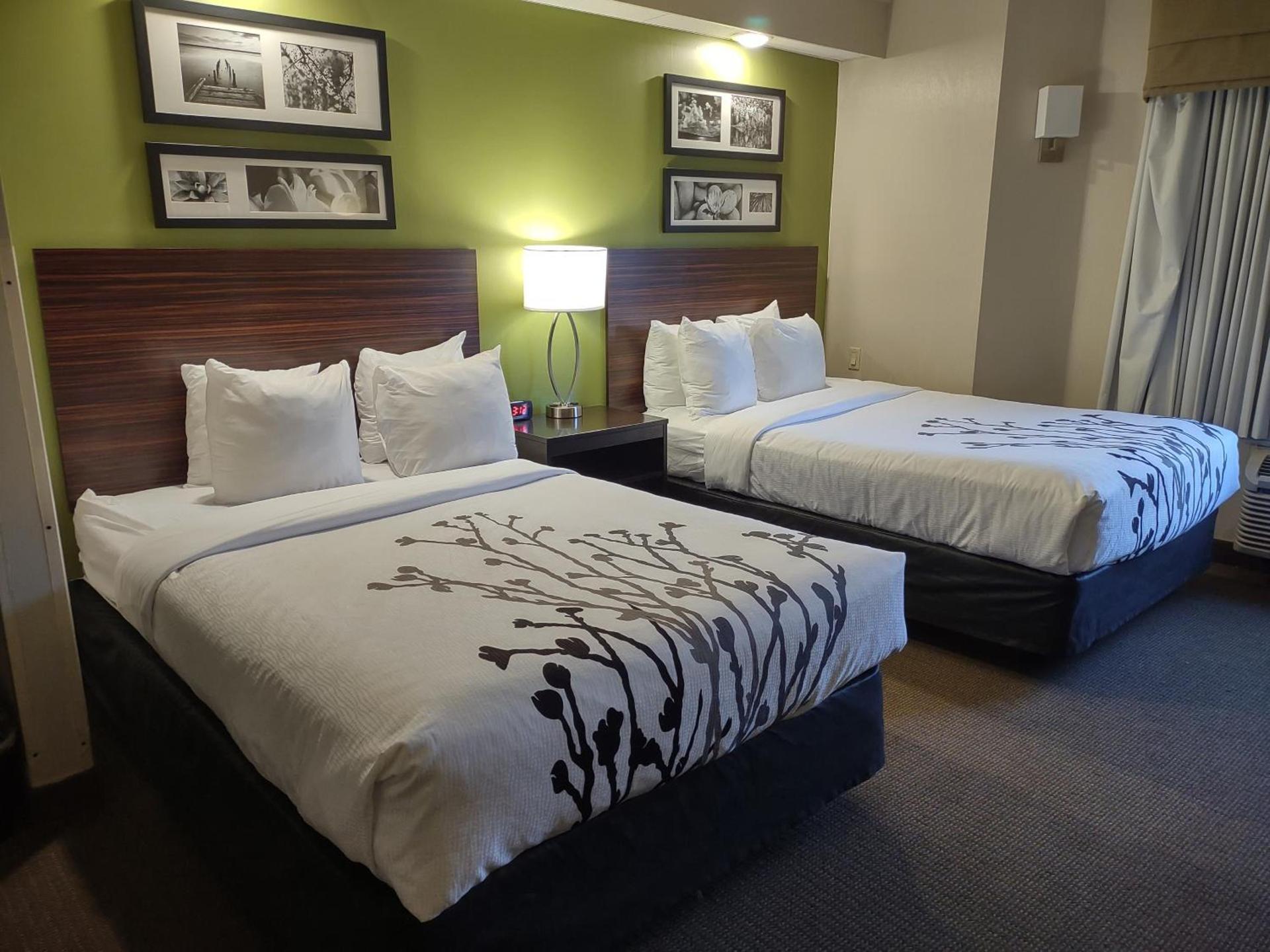 Sleep Inn Fredericksburg North photo 10