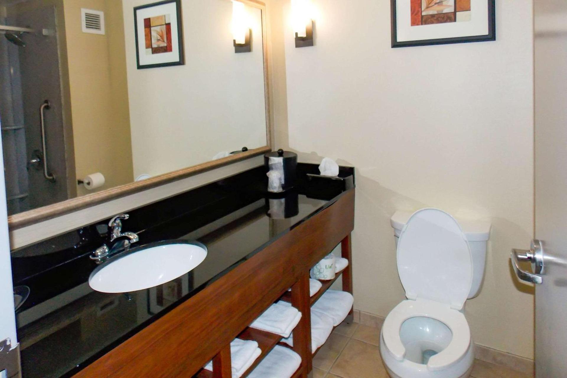 Comfort Suites Salem-Roanoke I-81 photo 8