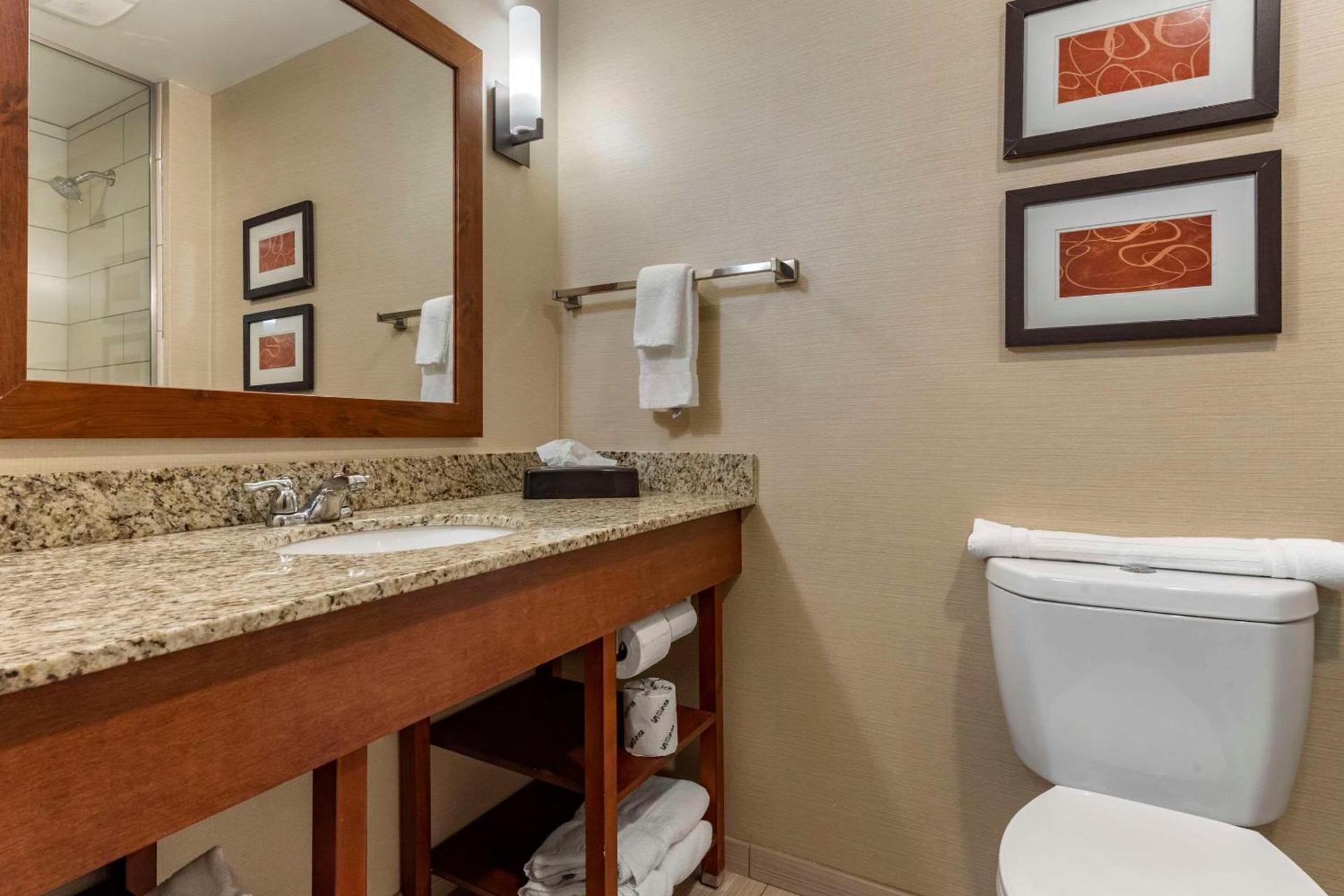 Comfort Suites Bridgeport - Clarksburg photo 13