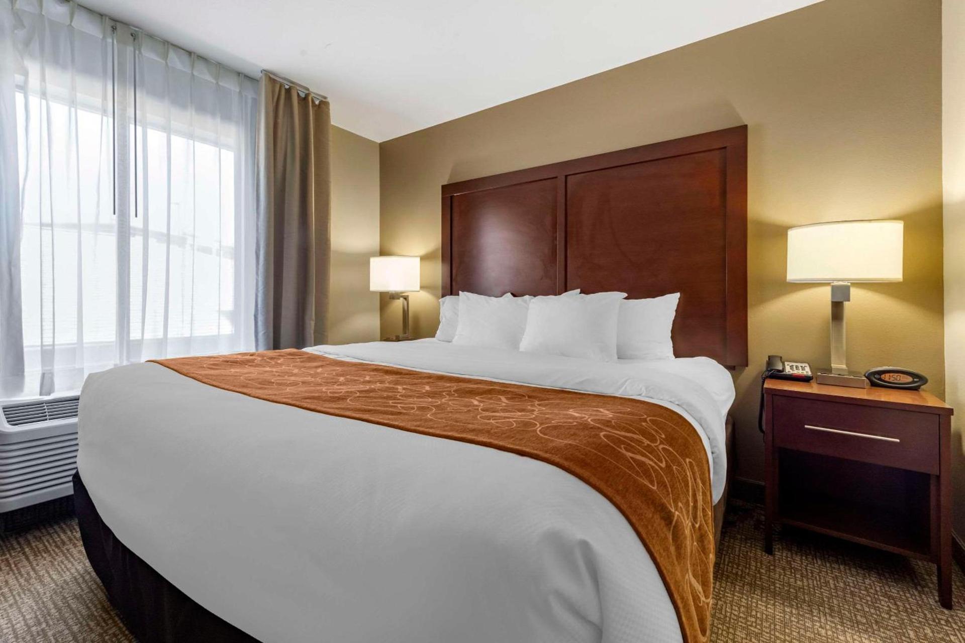 Comfort Suites Bridgeport - Clarksburg photo 3