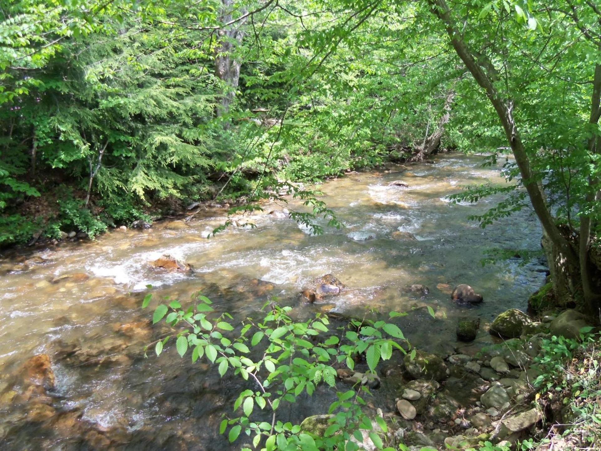 Four Seasons Inn photo 36
