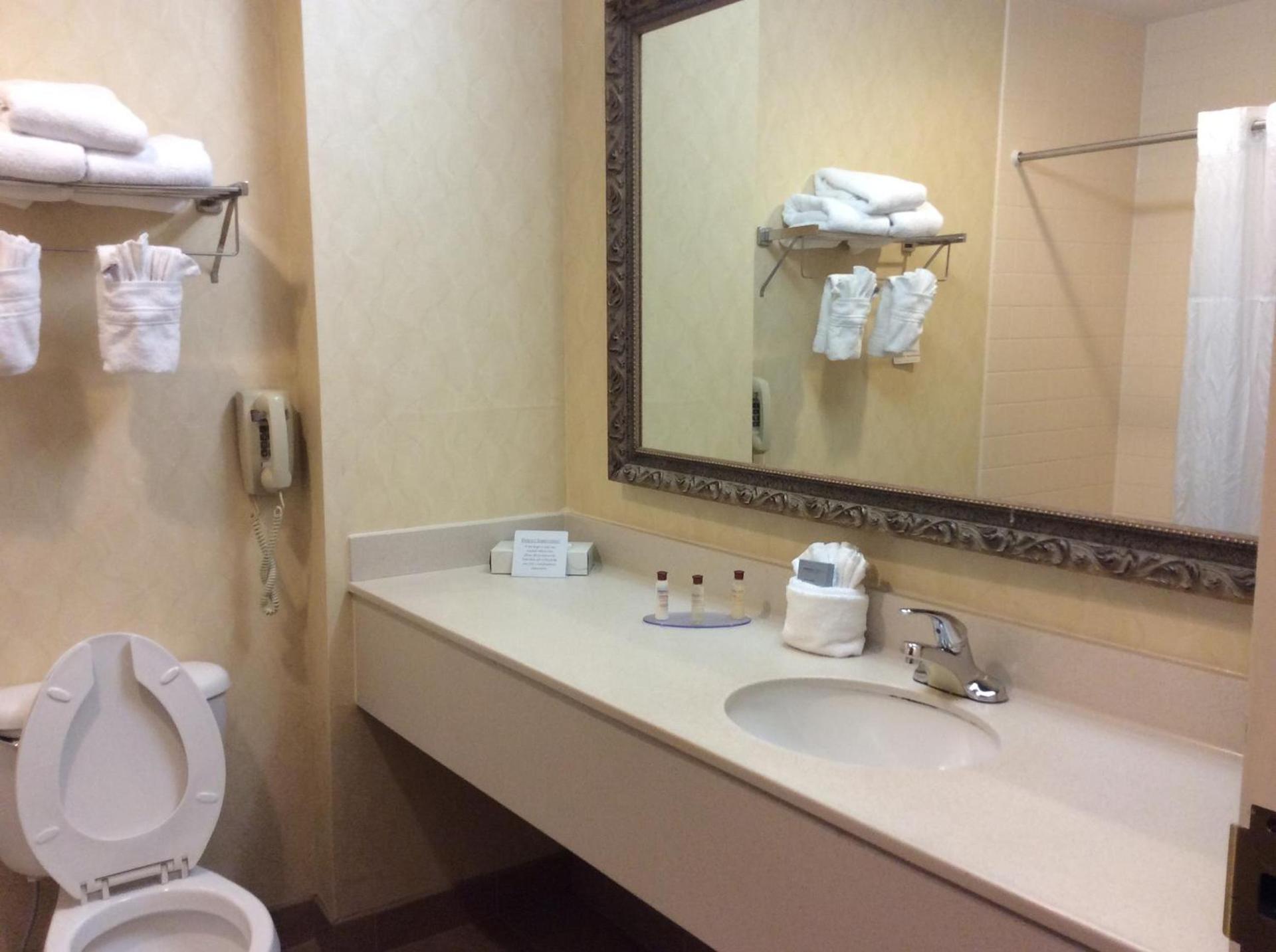 Wingate by Wyndham High Point Greensboro Airport South photo 26