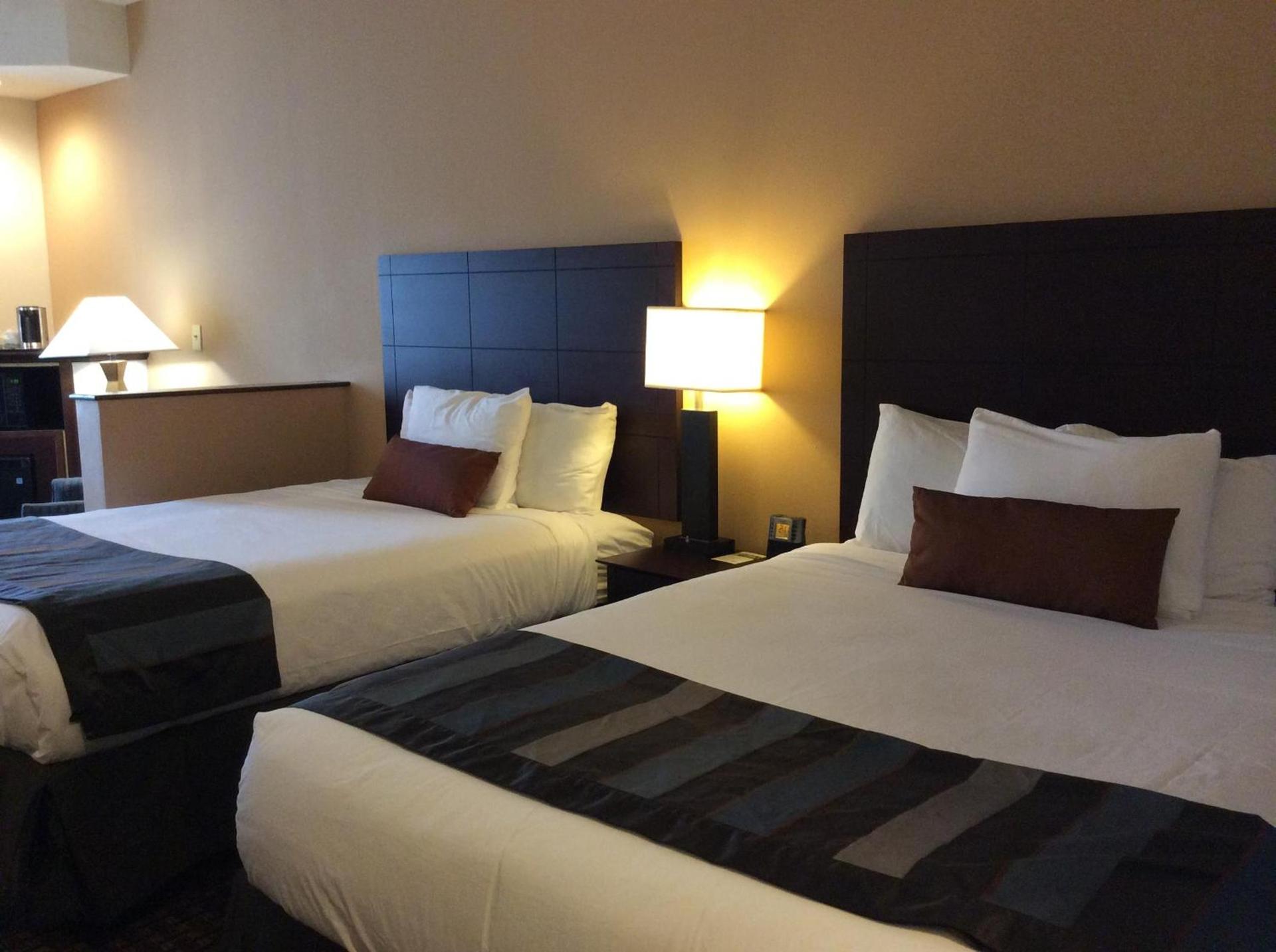 Wingate by Wyndham High Point Greensboro Airport South photo 20