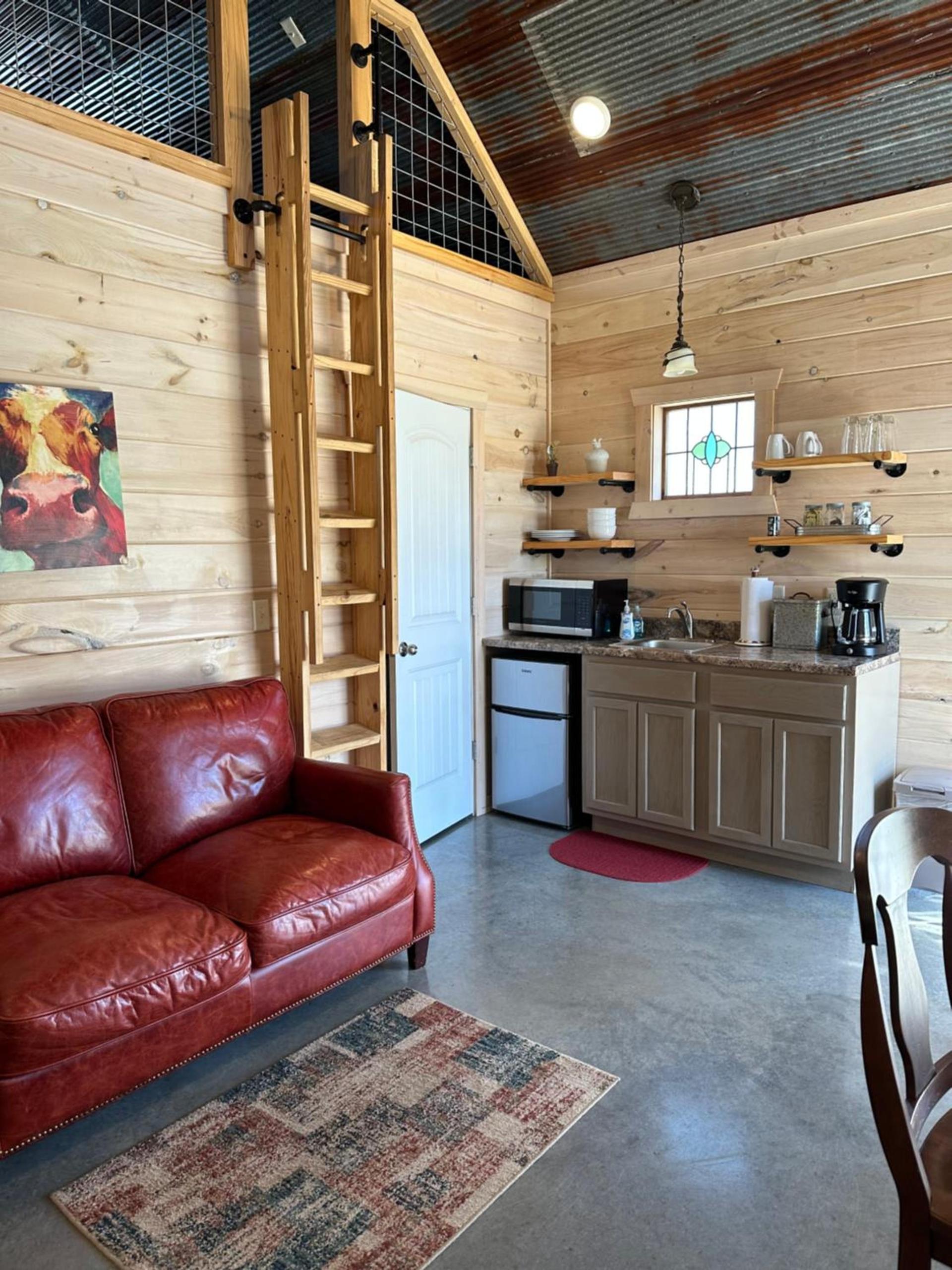 Knotty Squirrel Cabins photo 59