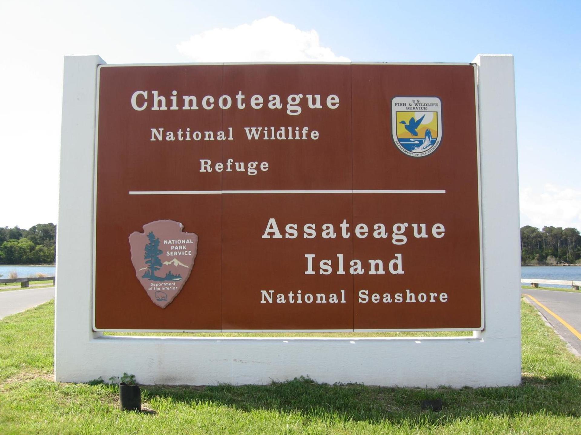 Chincoteague Inn photo 23