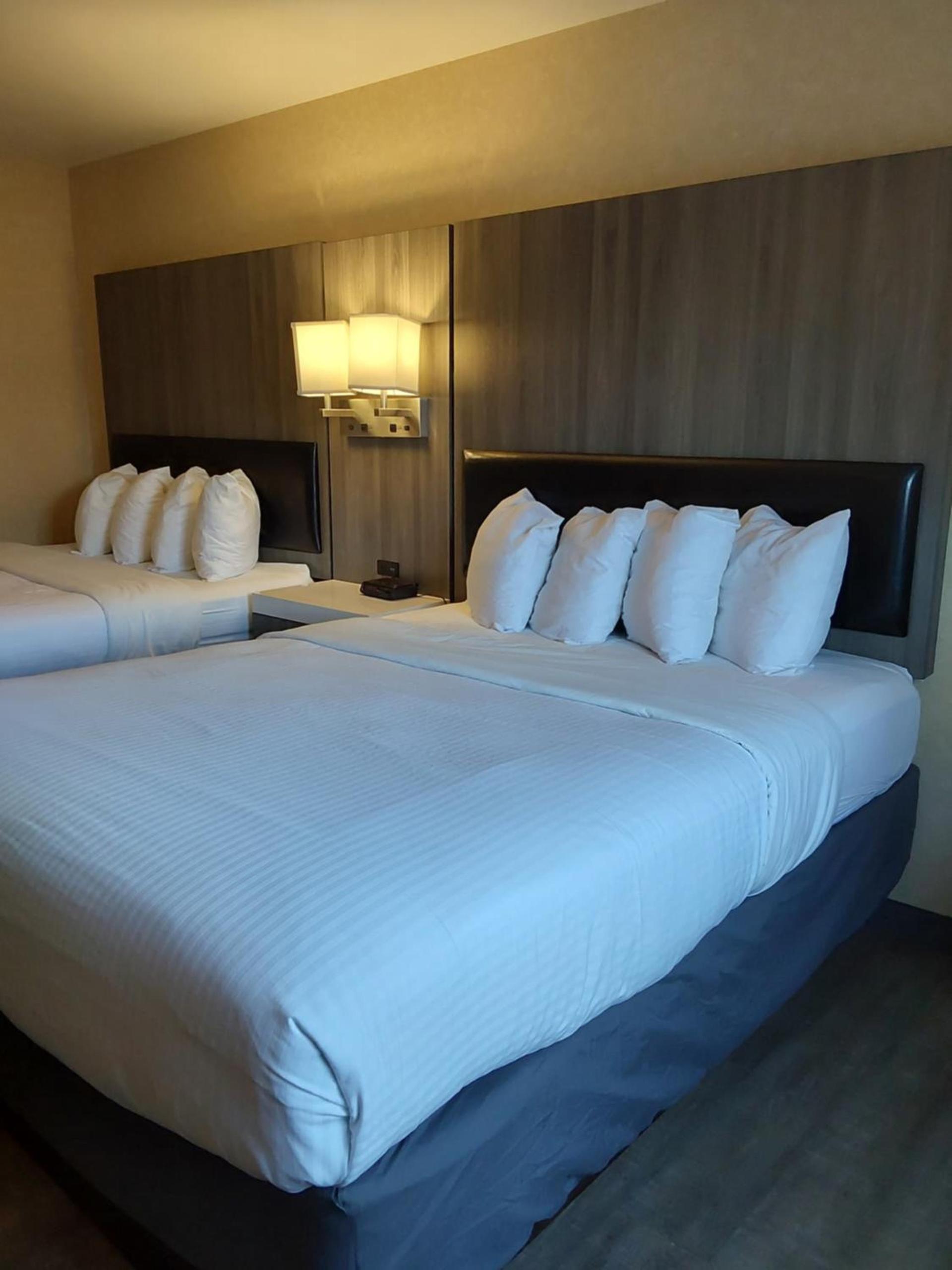 Lavissh Inn and Suites photo 13