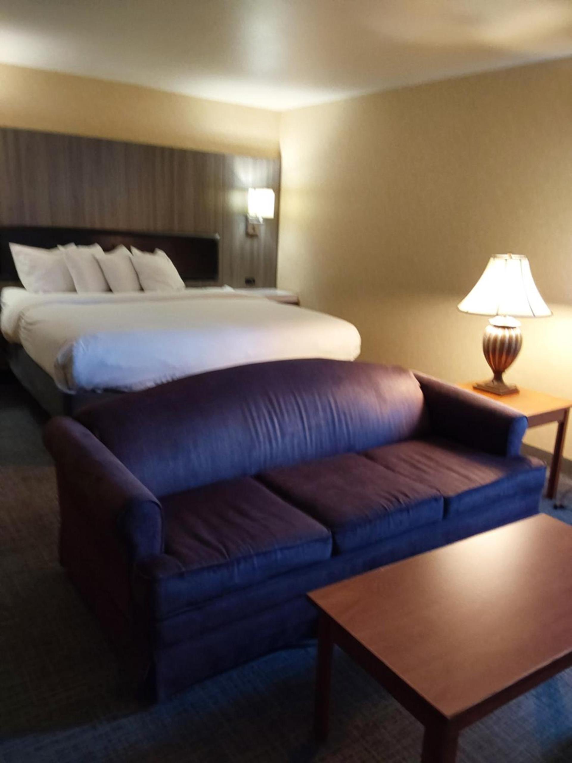 Lavissh Inn and Suites photo 17