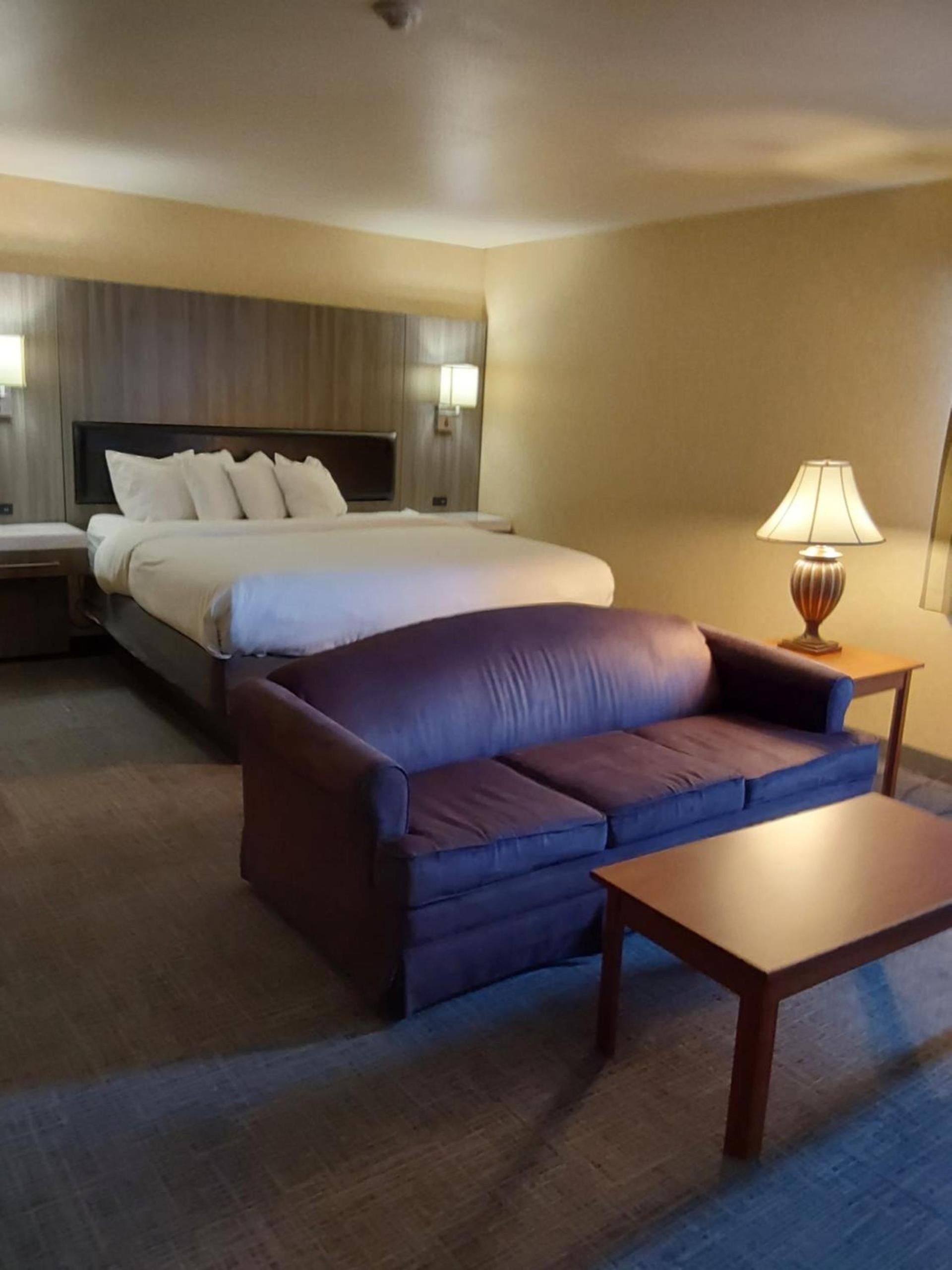 Lavissh Inn and Suites photo 36