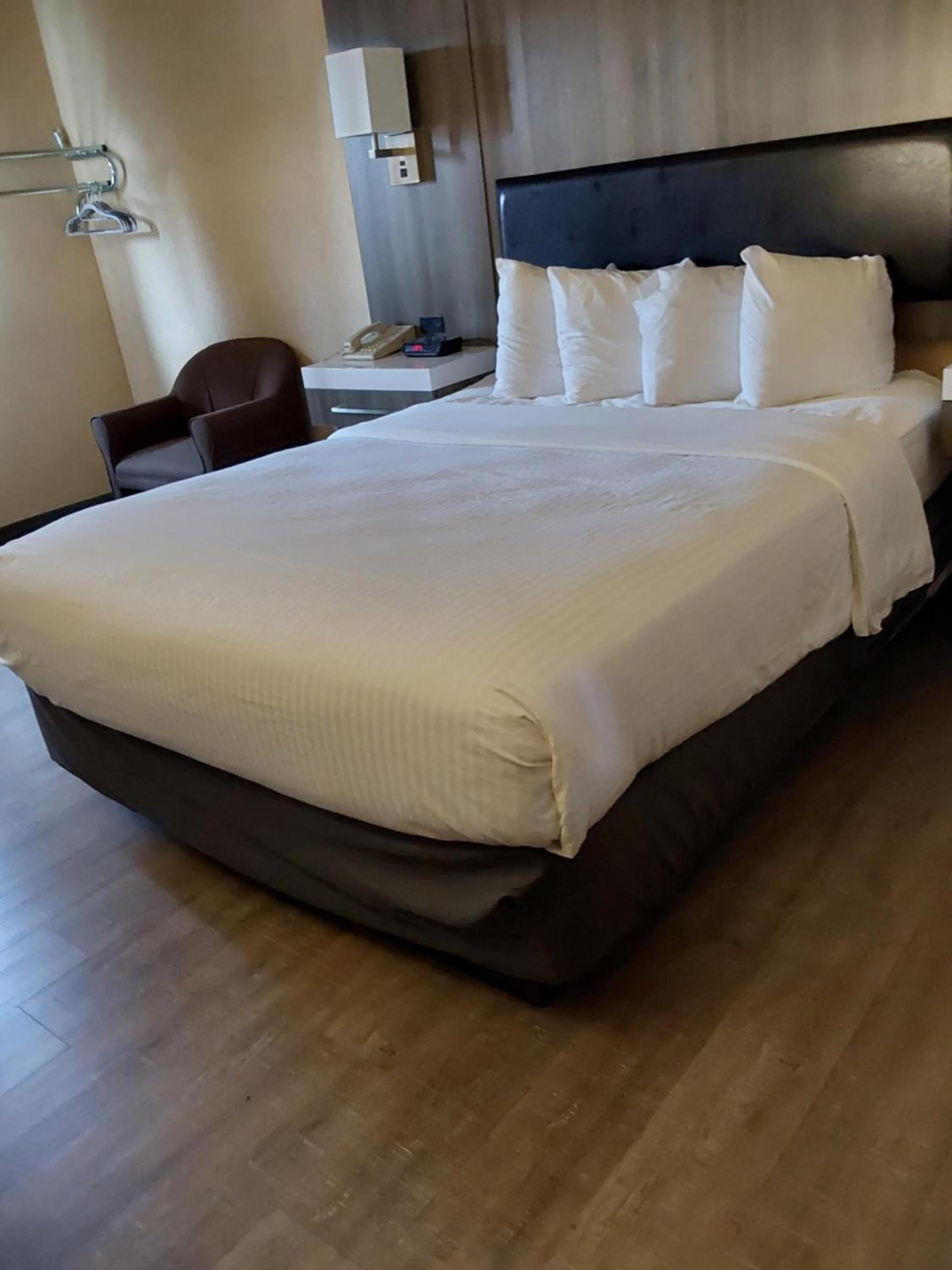 Lavissh Inn and Suites photo 18
