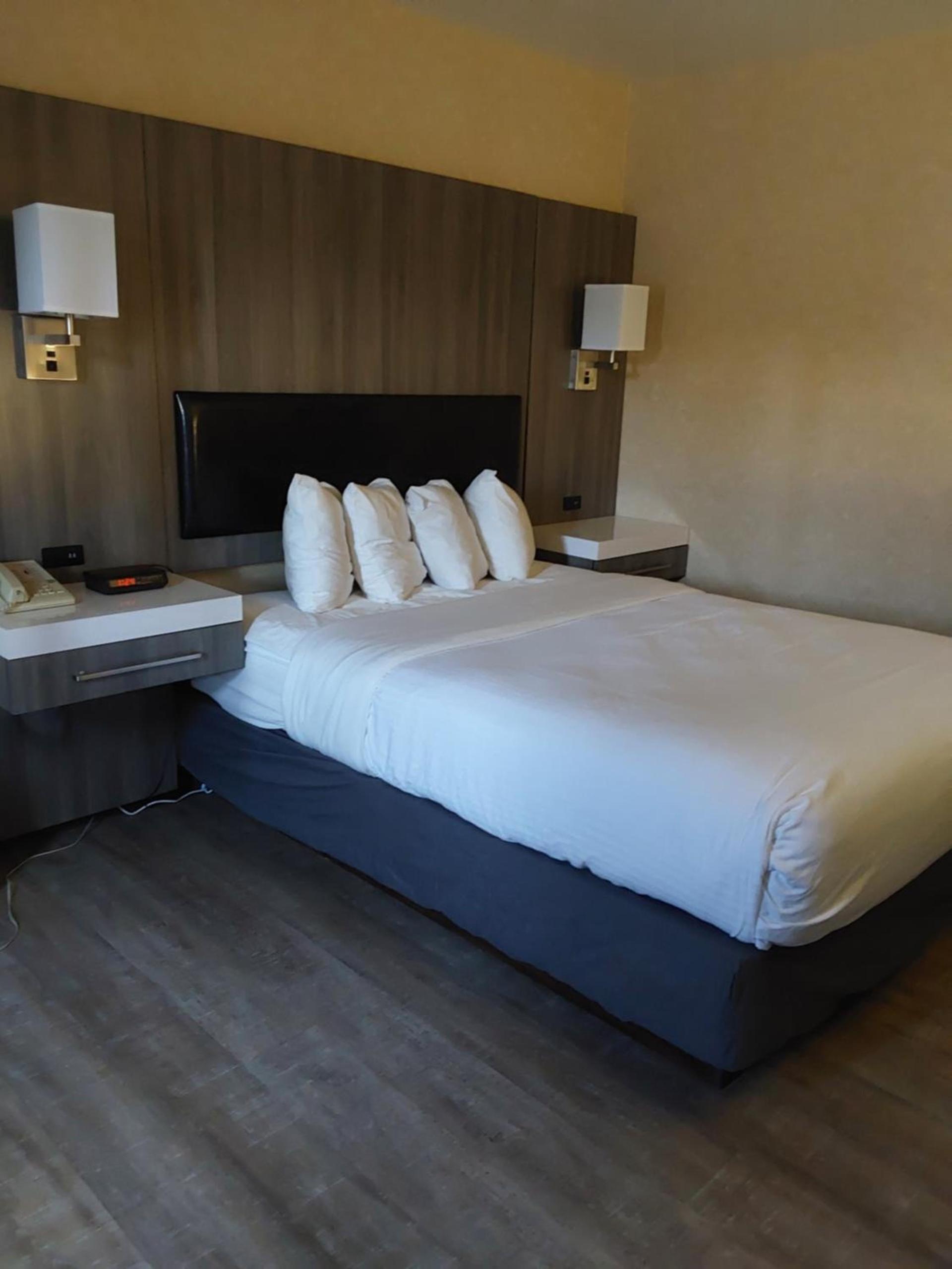 Lavissh Inn and Suites photo 10