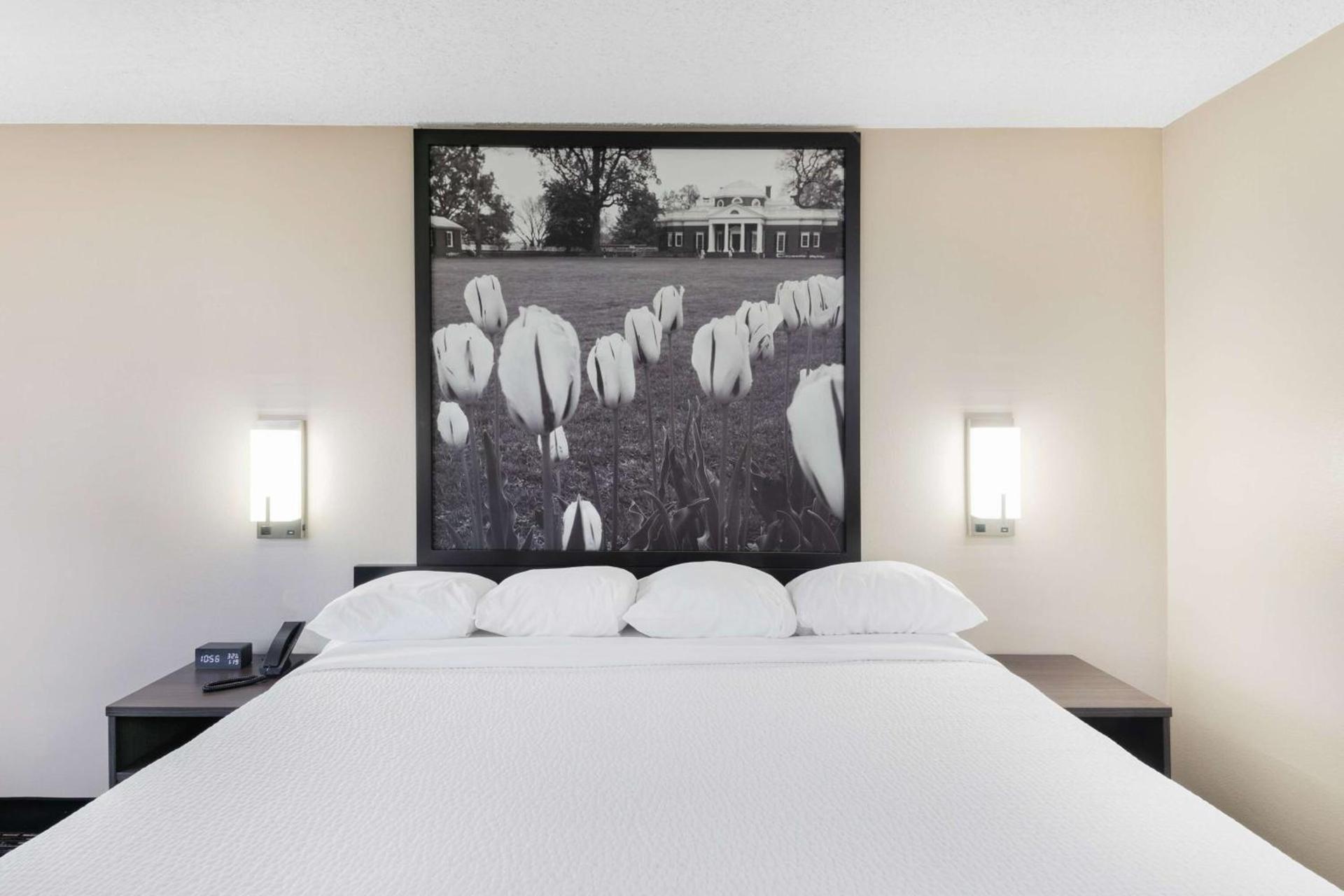 Super 8 by Wyndham Charlottesville photo 12