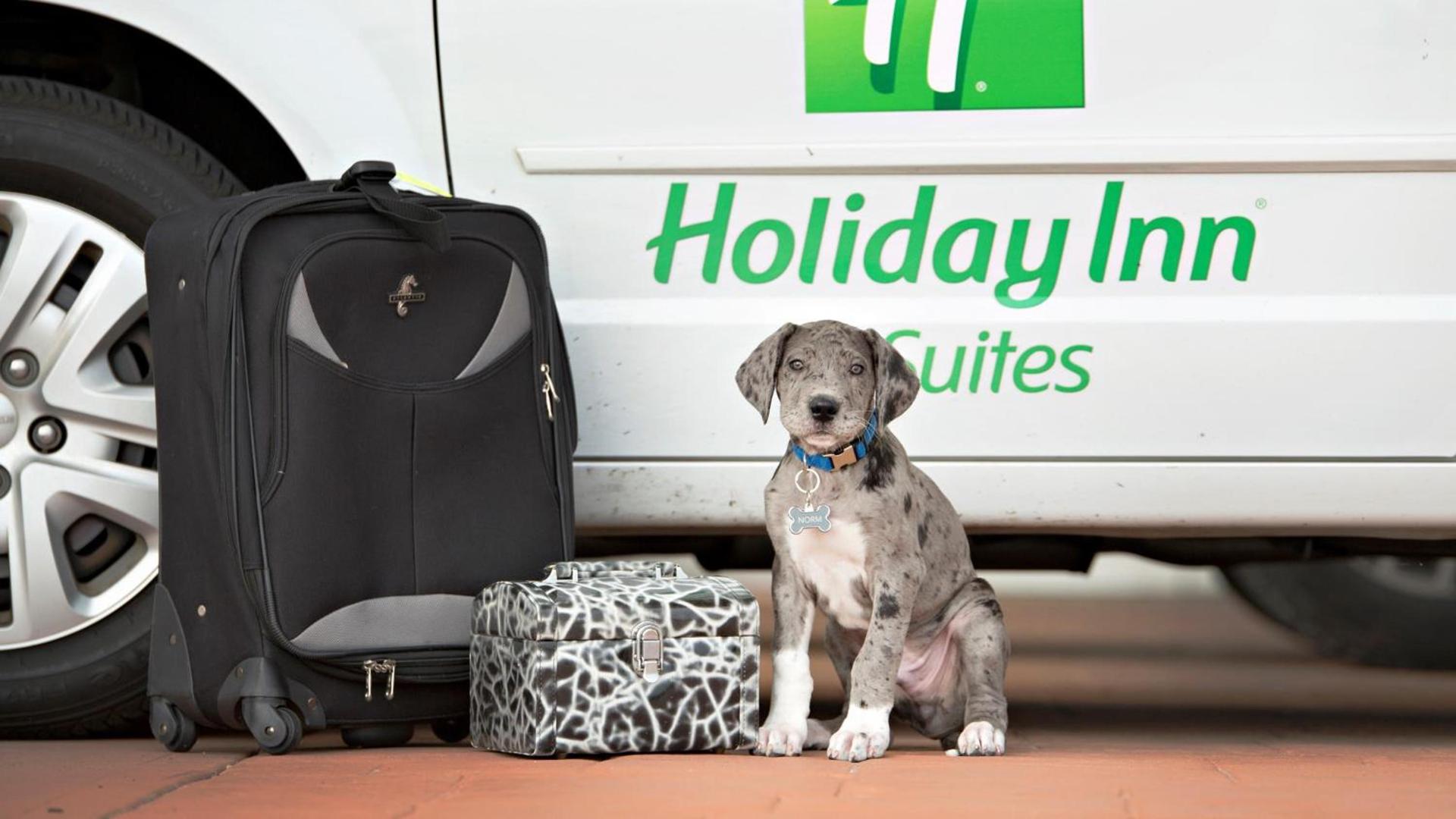 Holiday Inn Hotel & Suites Bloomington Airport by IHG photo 8