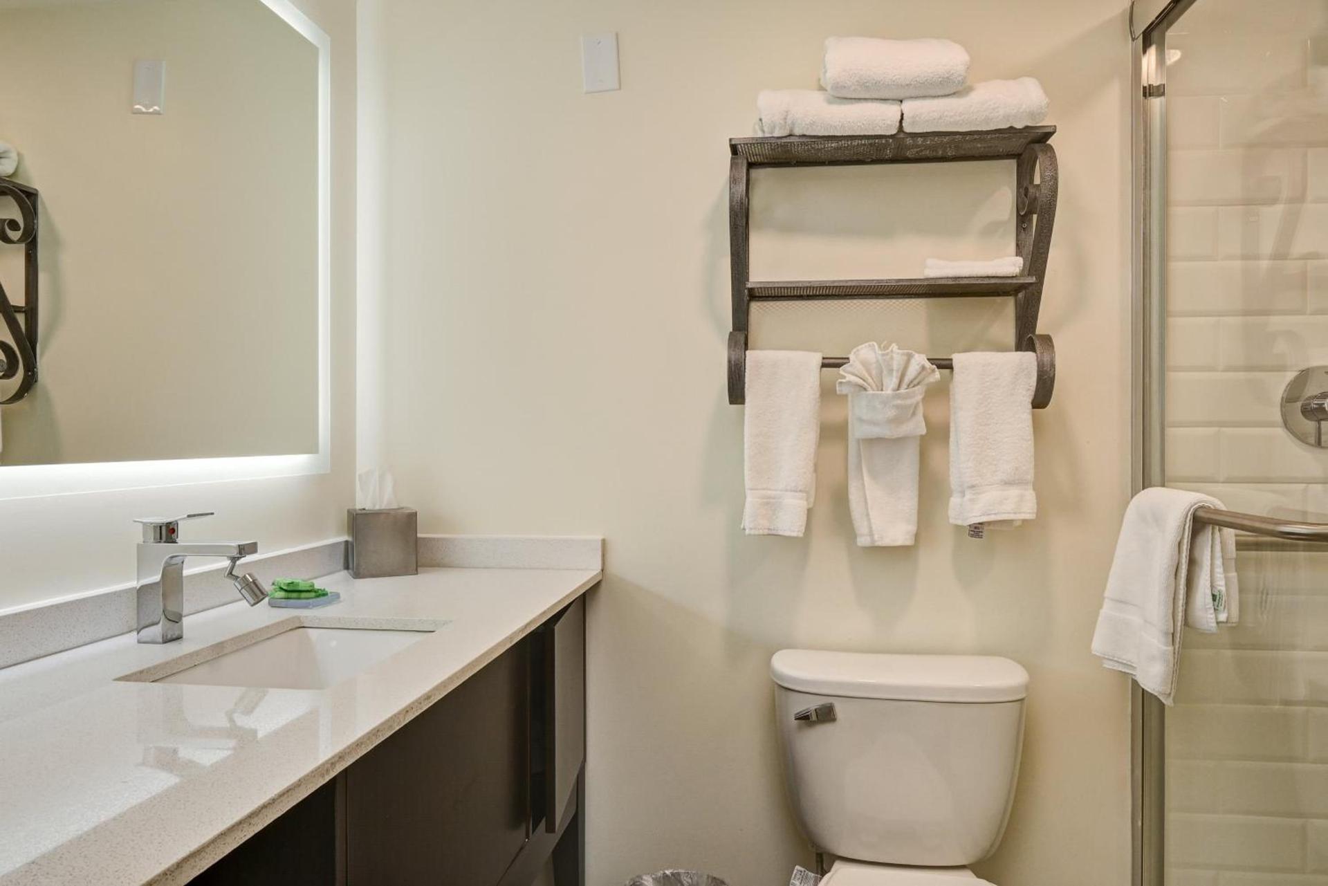 Holiday Inn - Piscataway - Somerset by IHG photo 73