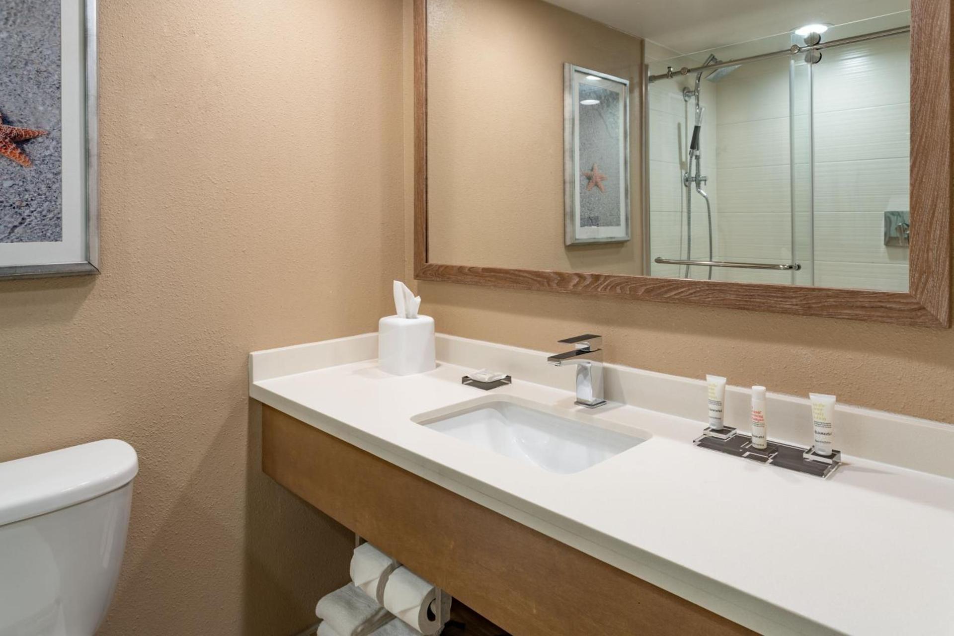 Clearwater Beach Marriott Resort on Sand Key photo 18
