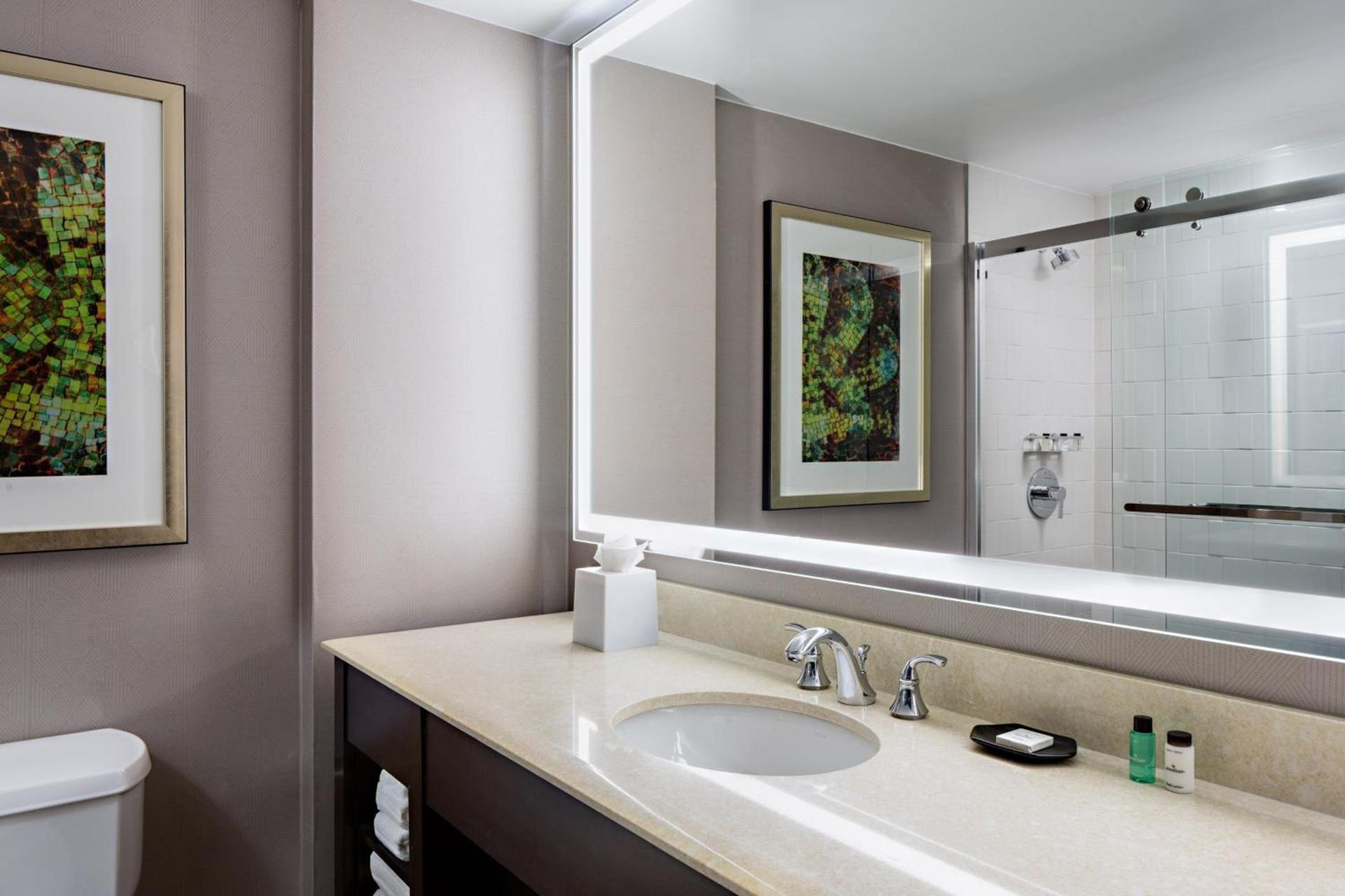 Sheraton Dallas Hotel photo 19