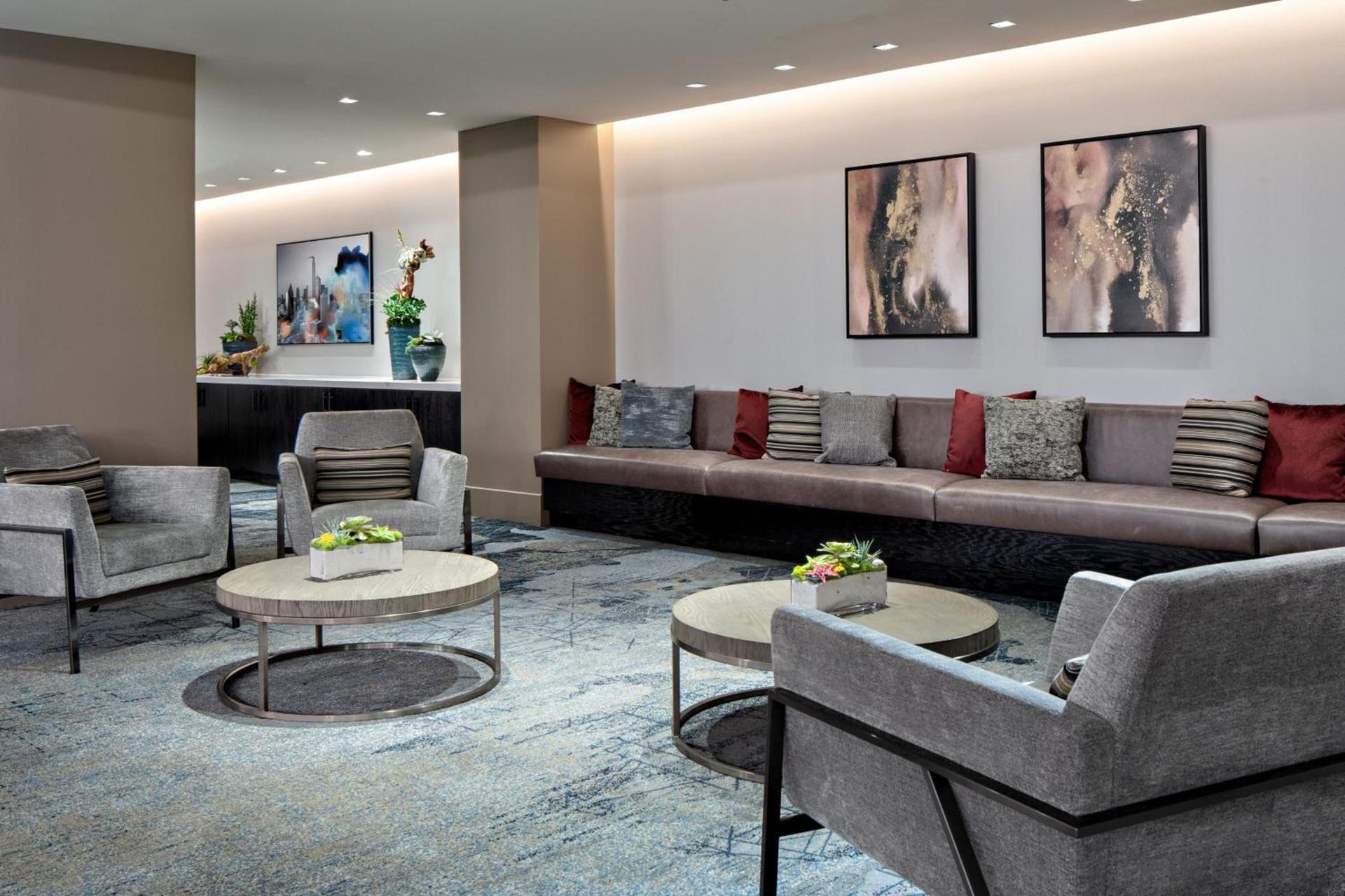 Sheraton Dallas Hotel photo 7