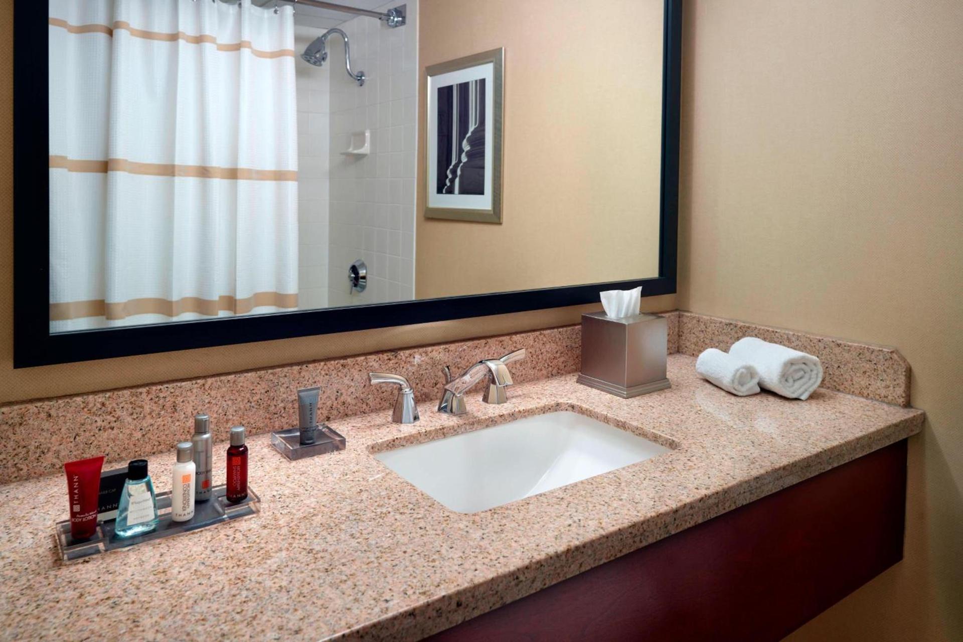 Washington Dulles Airport Marriott photo 15