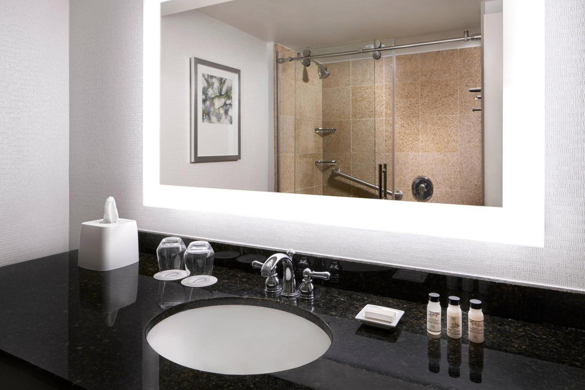 Delta Hotels by Marriott Chesapeake Norfolk photo 10
