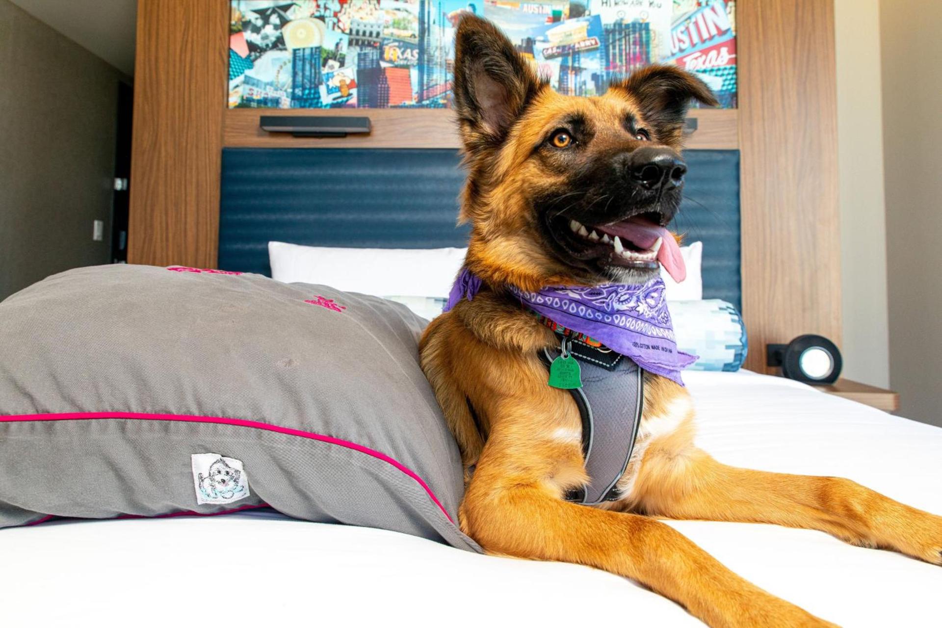 Aloft by Marriott Austin Downtown photo 26