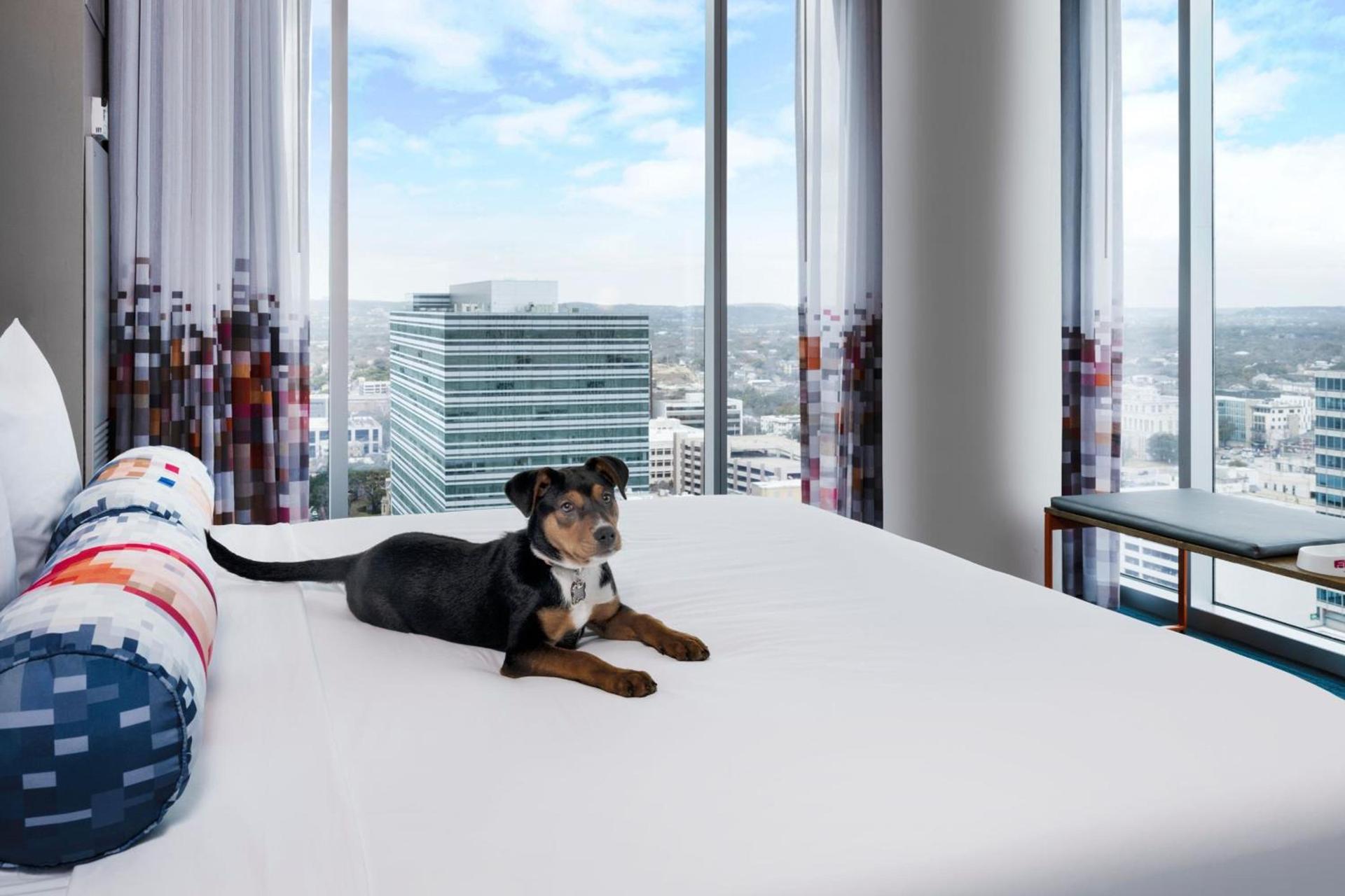 Aloft by Marriott Austin Downtown photo 24