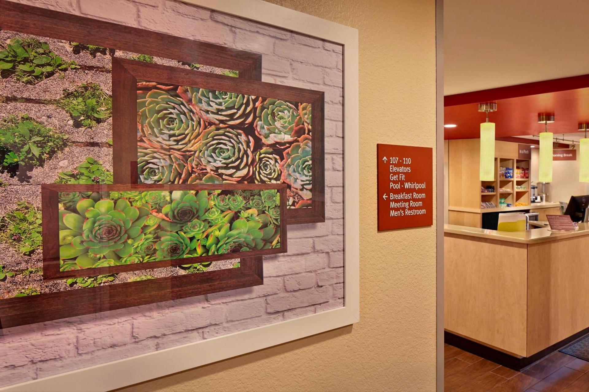 TownePlace Suites by Marriott Albany Downtown/Medical Center photo 22
