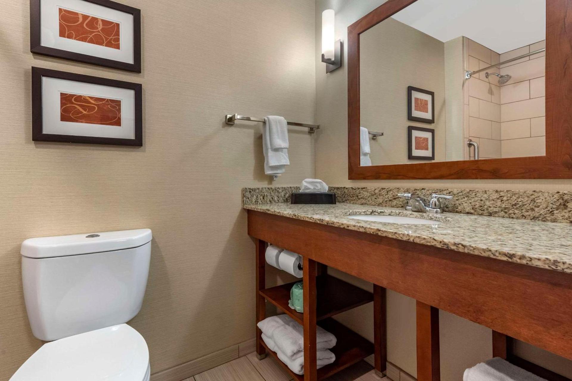 Comfort Suites Bridgeport - Clarksburg photo 15
