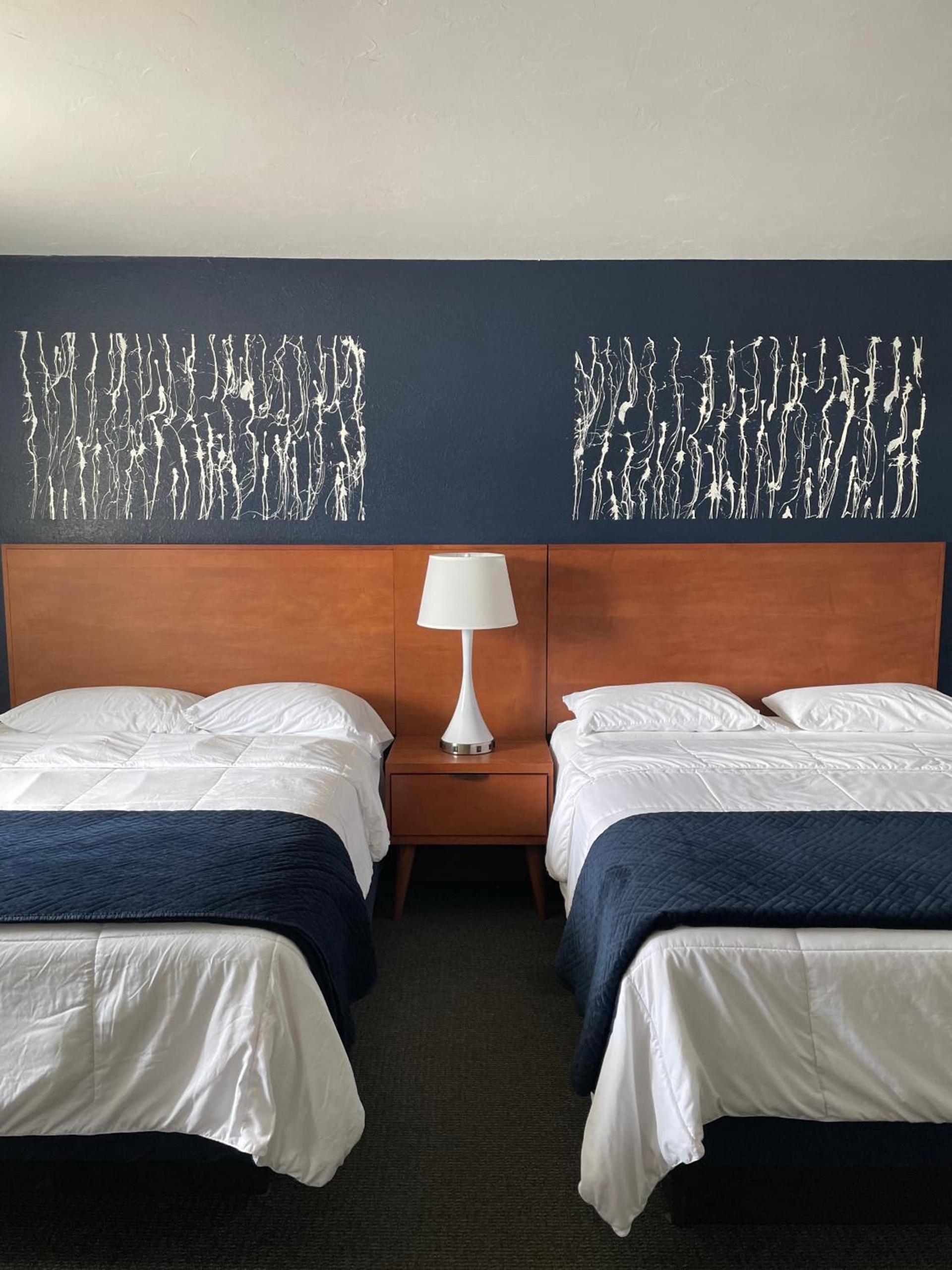 Starlite Resort photo 34