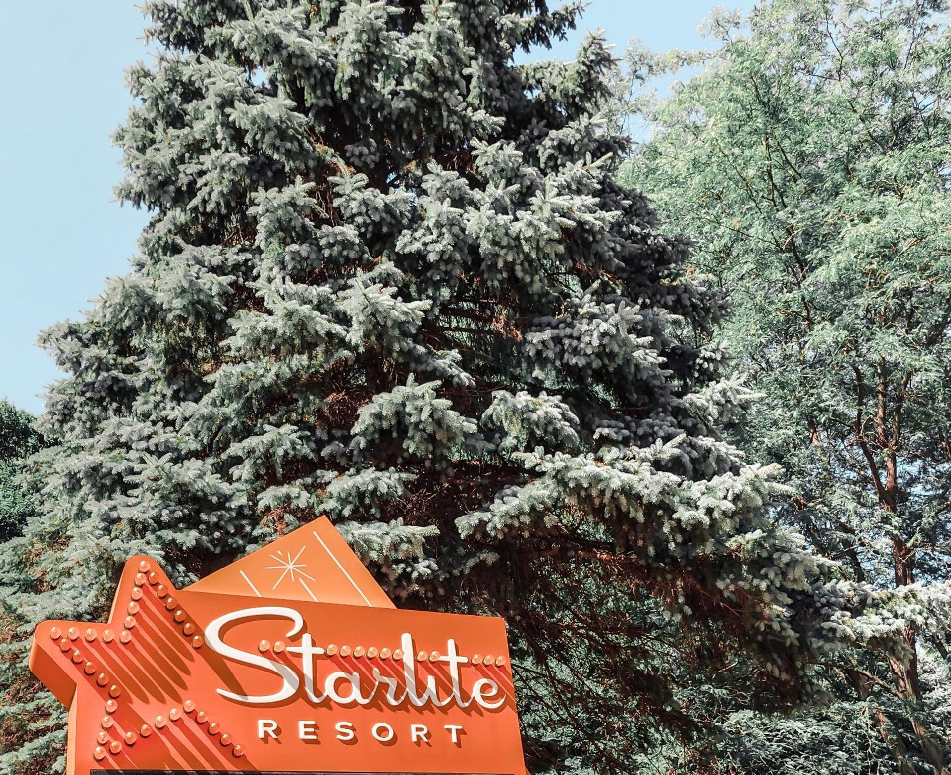Starlite Resort photo 69