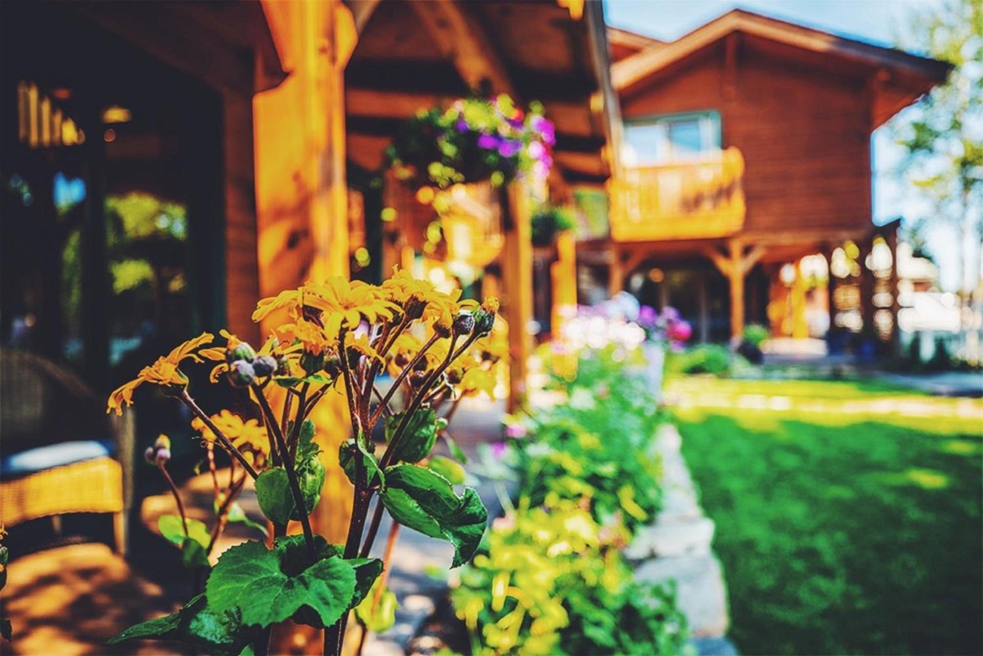 The Alpine House photo 28