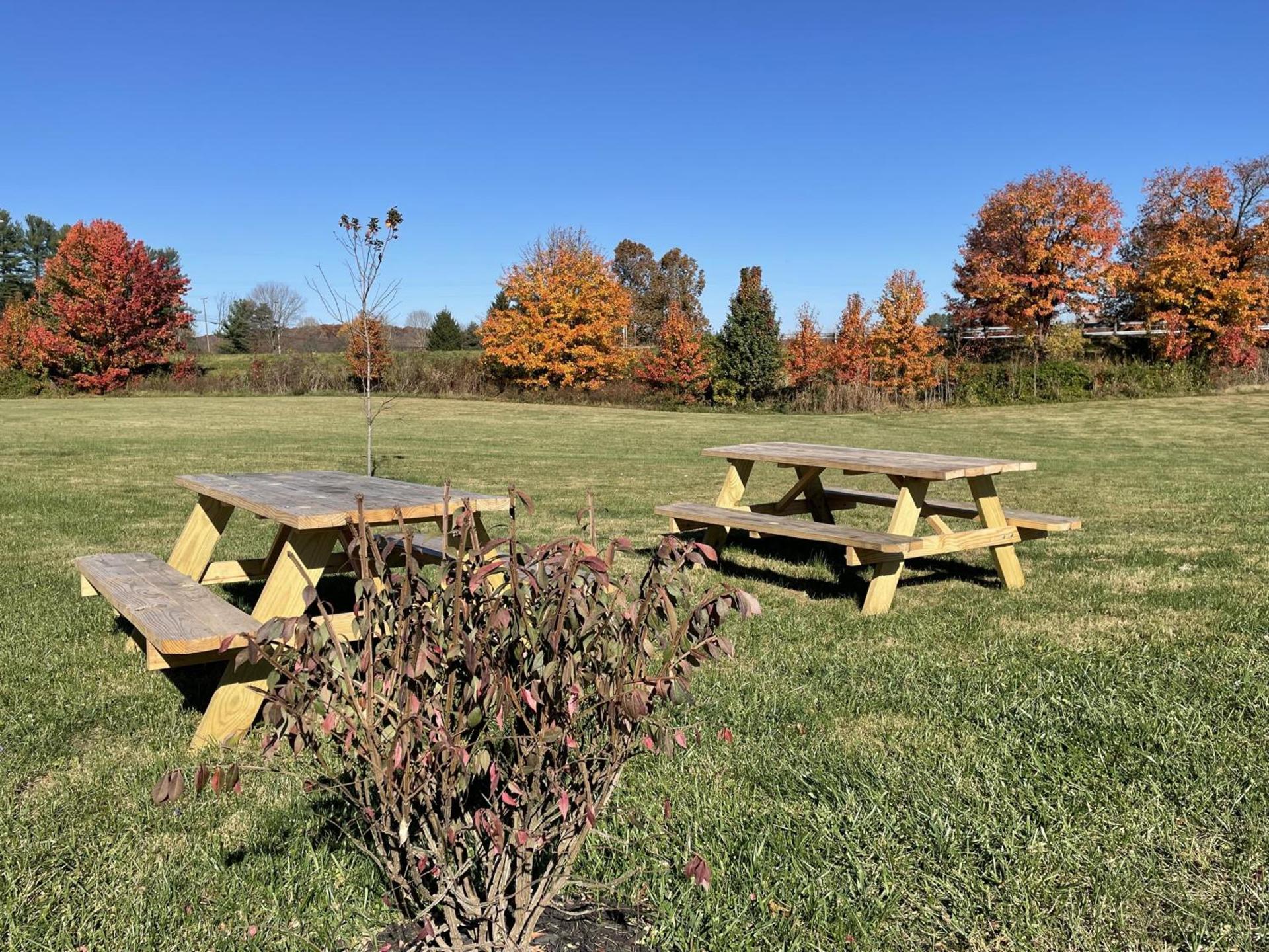 Lake Logan Inn photo 19