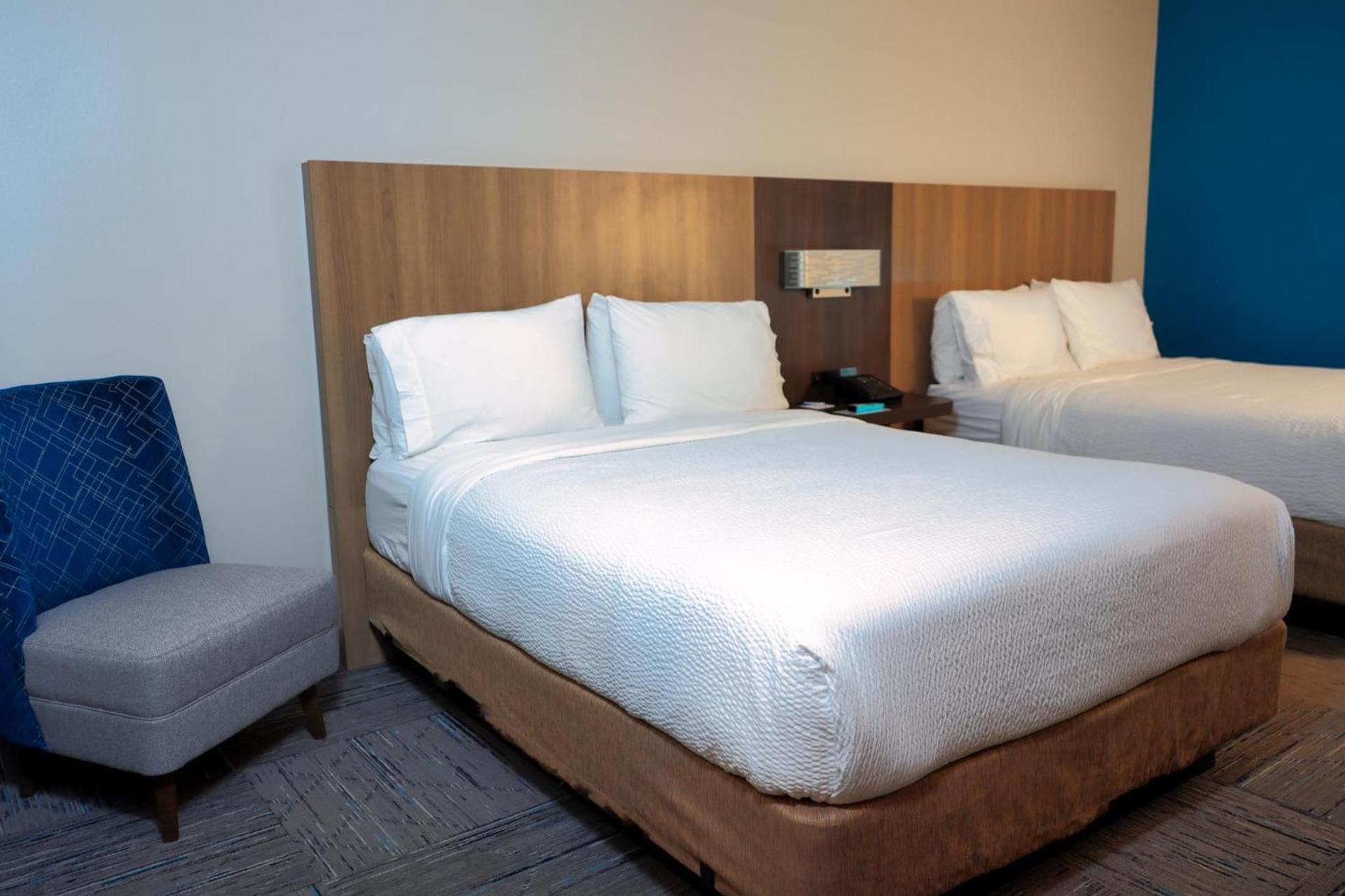 Holiday Inn Express Hotel & Suites Tampa-Oldsmar by IHG photo 32