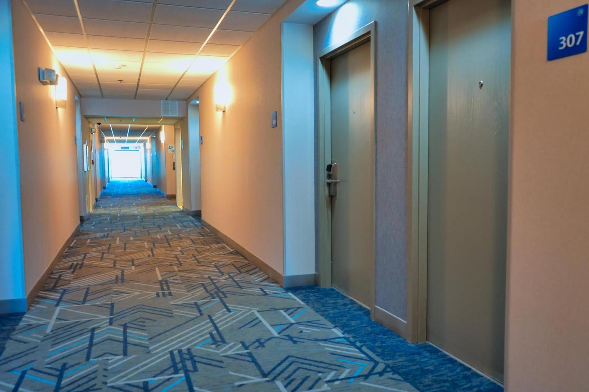 Holiday Inn Express Hotel & Suites Tampa-Oldsmar by IHG photo 33