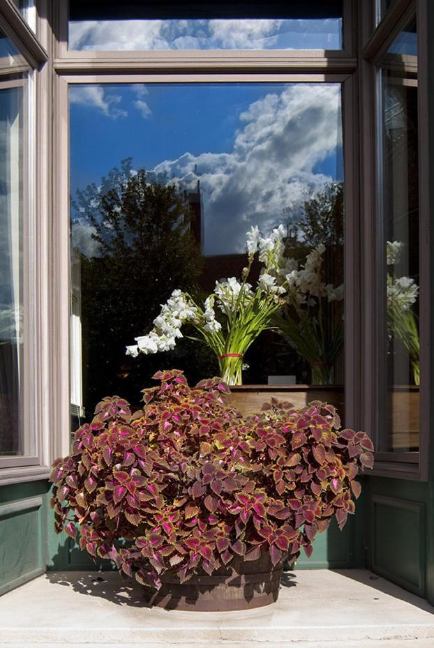 Water Street Inn photo 46