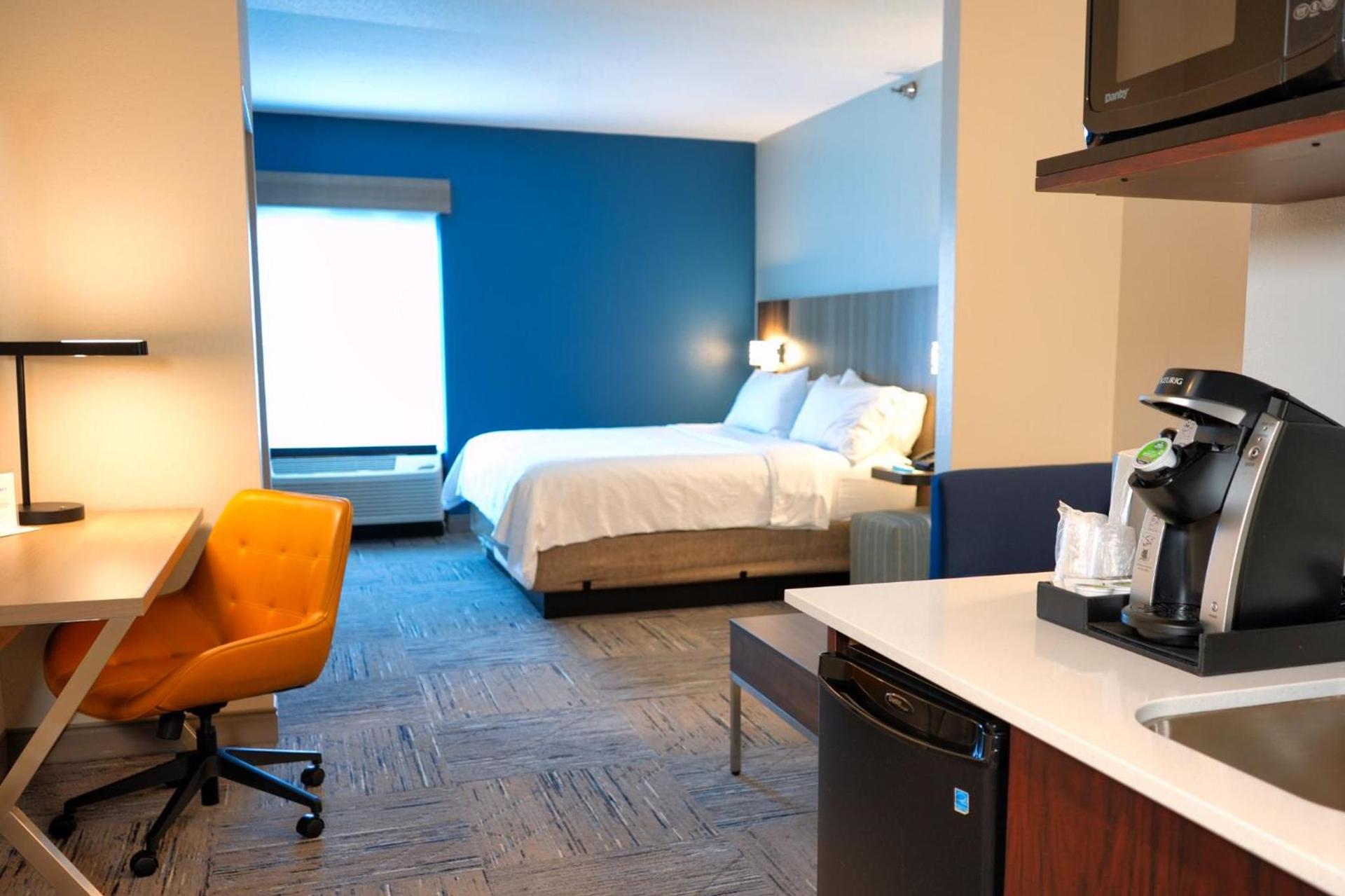 Holiday Inn Express Hotel & Suites Tampa-Oldsmar by IHG photo 77