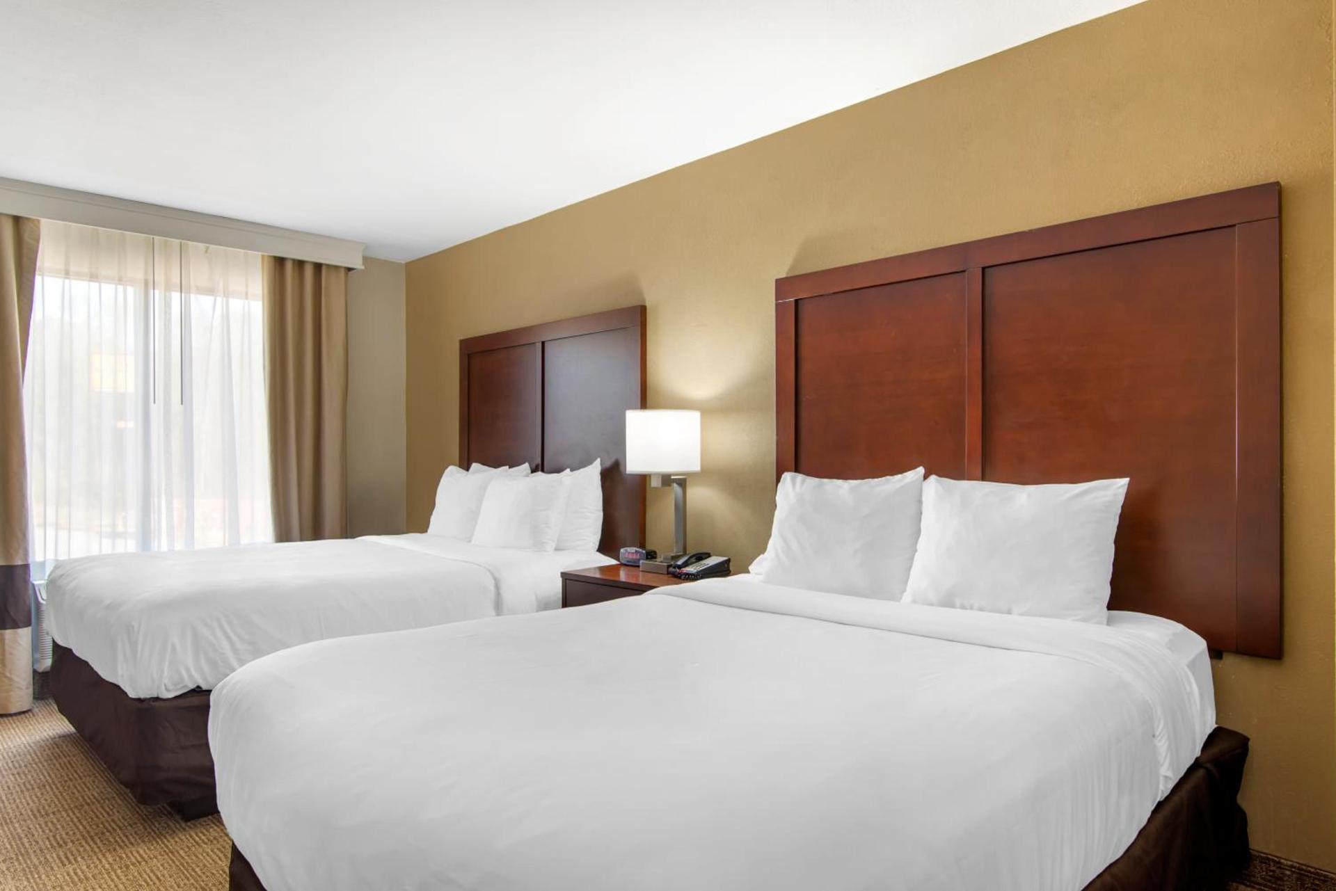 Comfort Suites Locust Grove Atlanta South photo 17