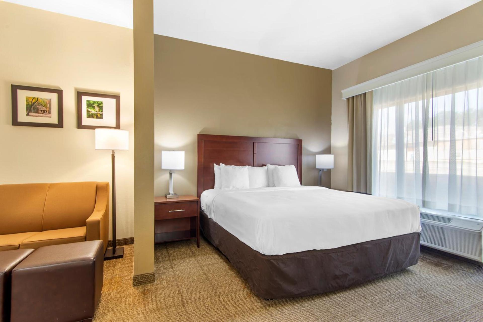 Comfort Suites Locust Grove Atlanta South photo 25