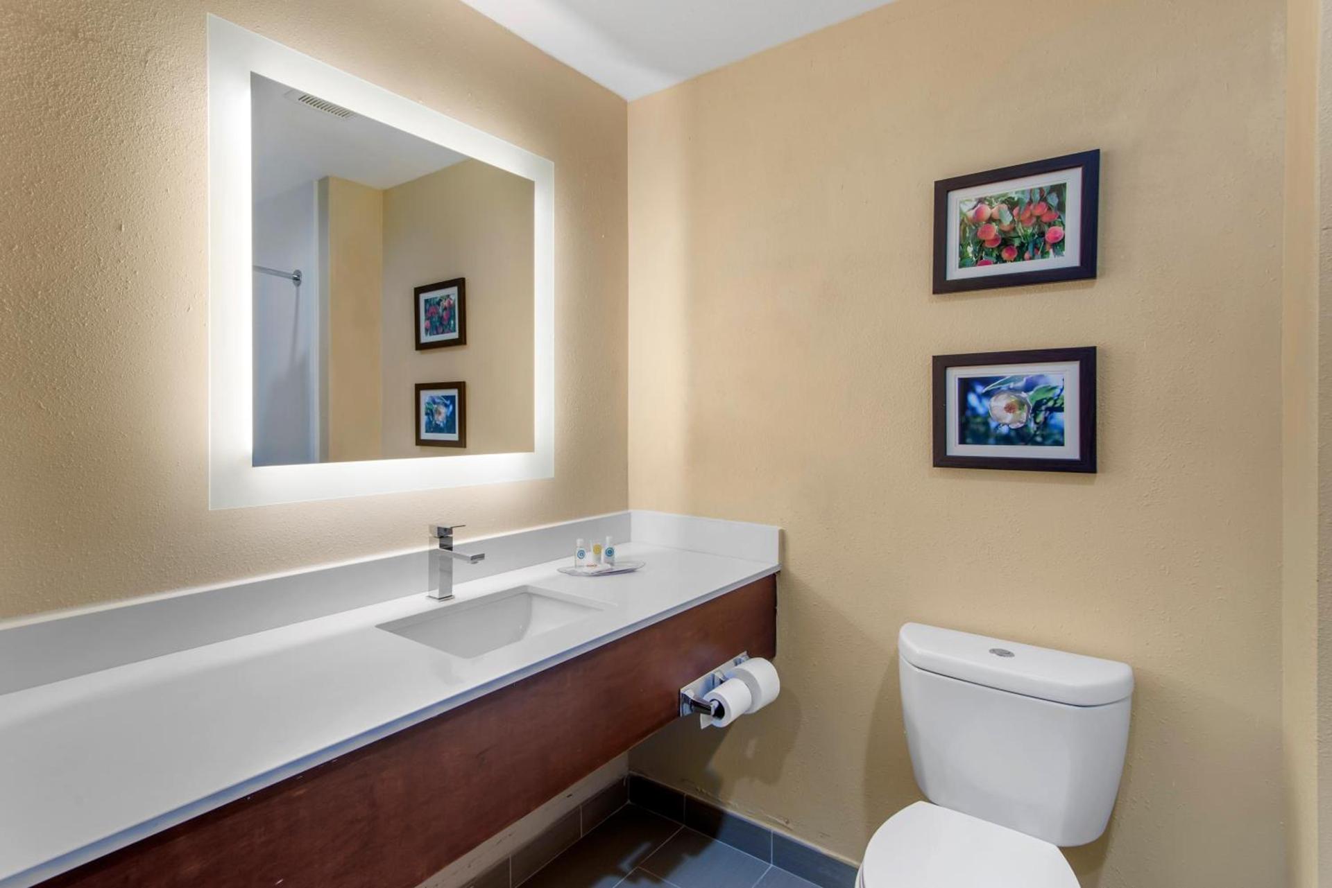 Comfort Suites Locust Grove Atlanta South photo 2