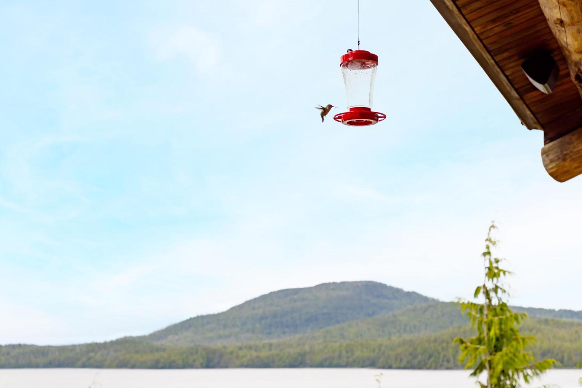 Salmon Falls Resort photo 66