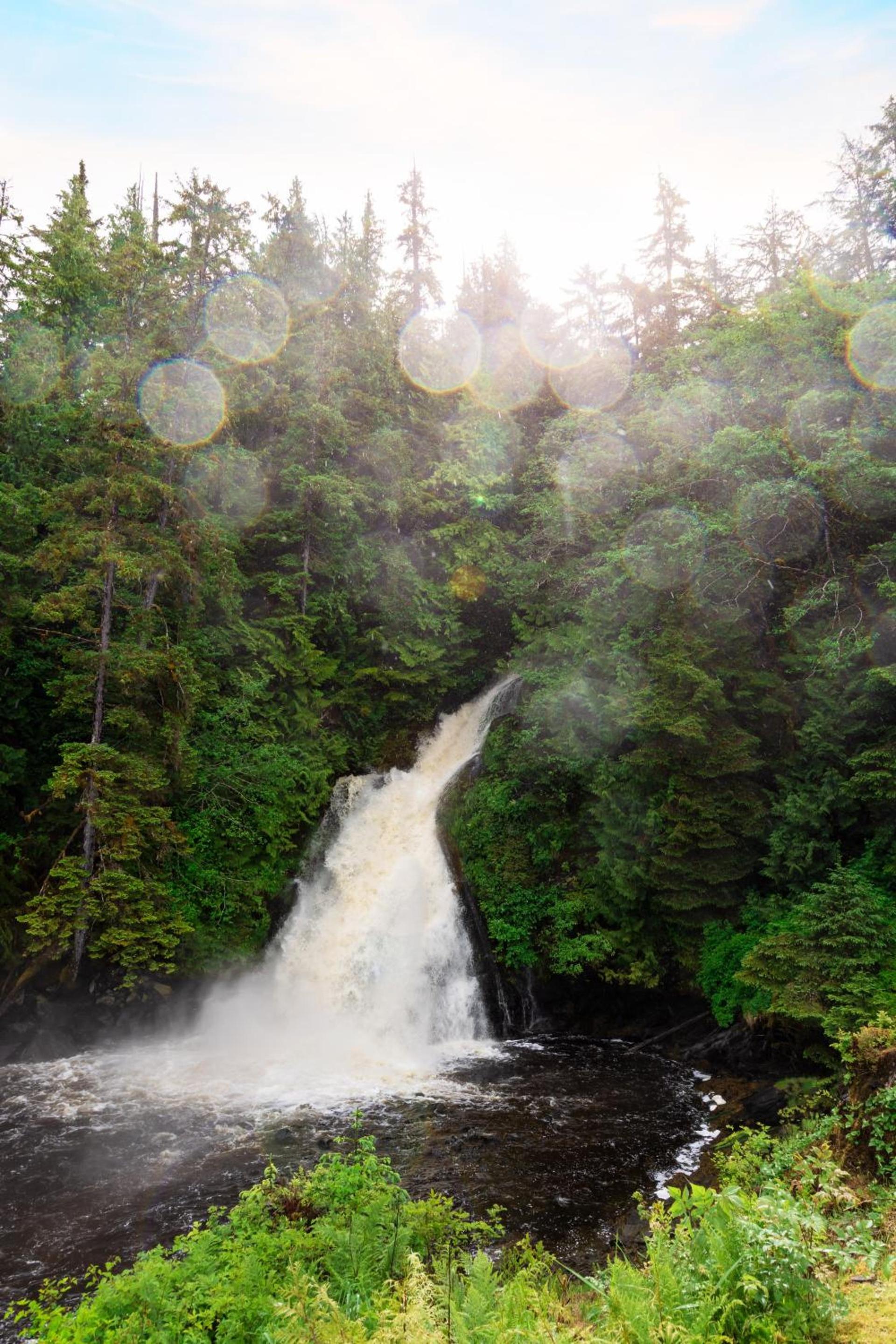 Salmon Falls Resort photo 65