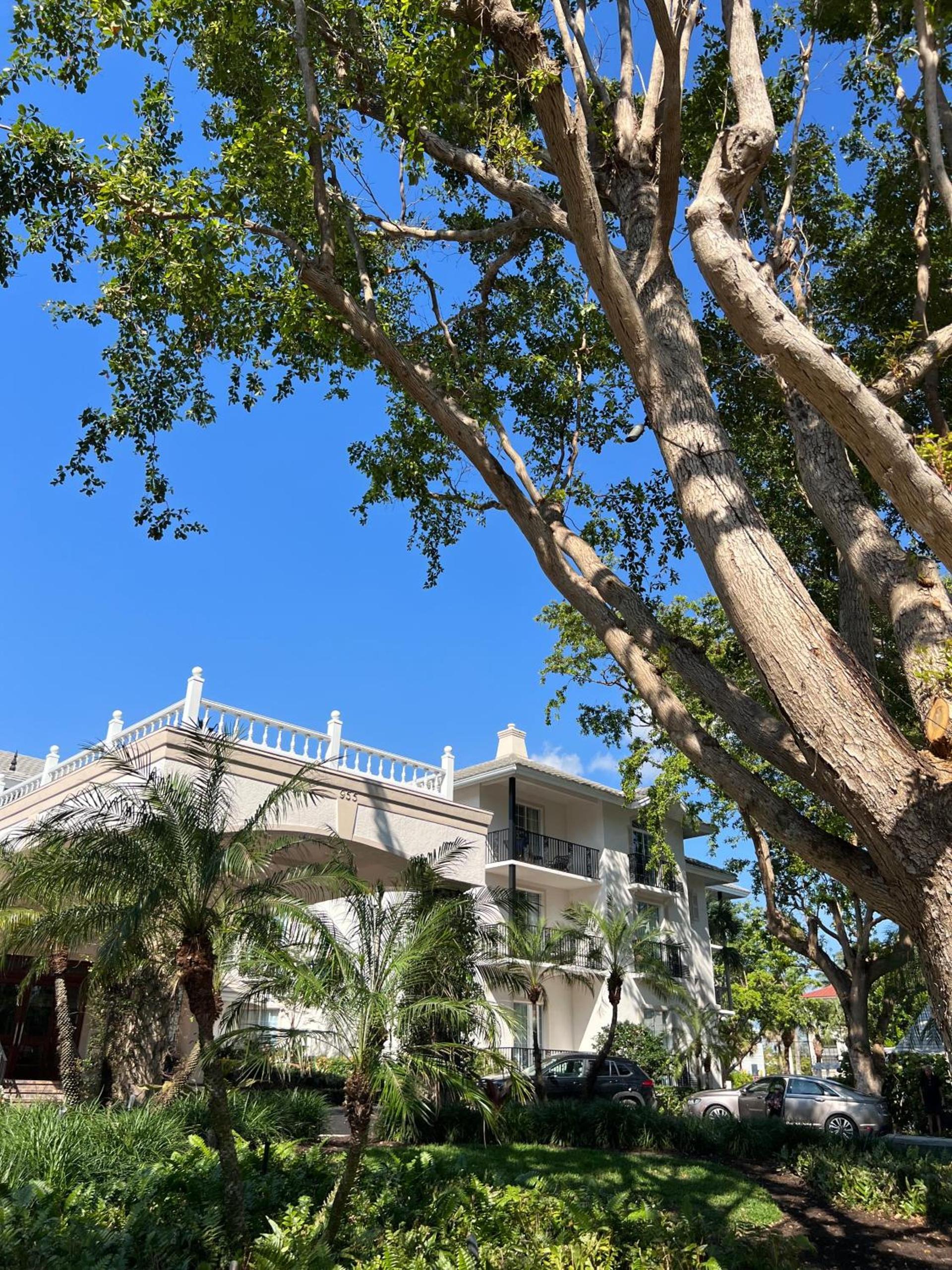 The Capri Inn photo 55