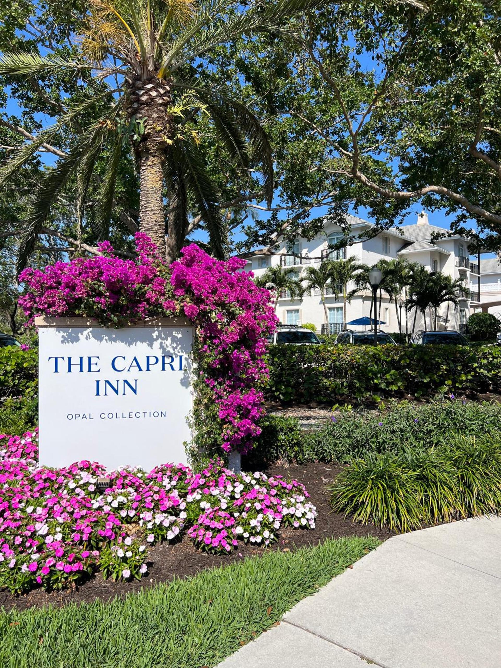 The Capri Inn photo 56