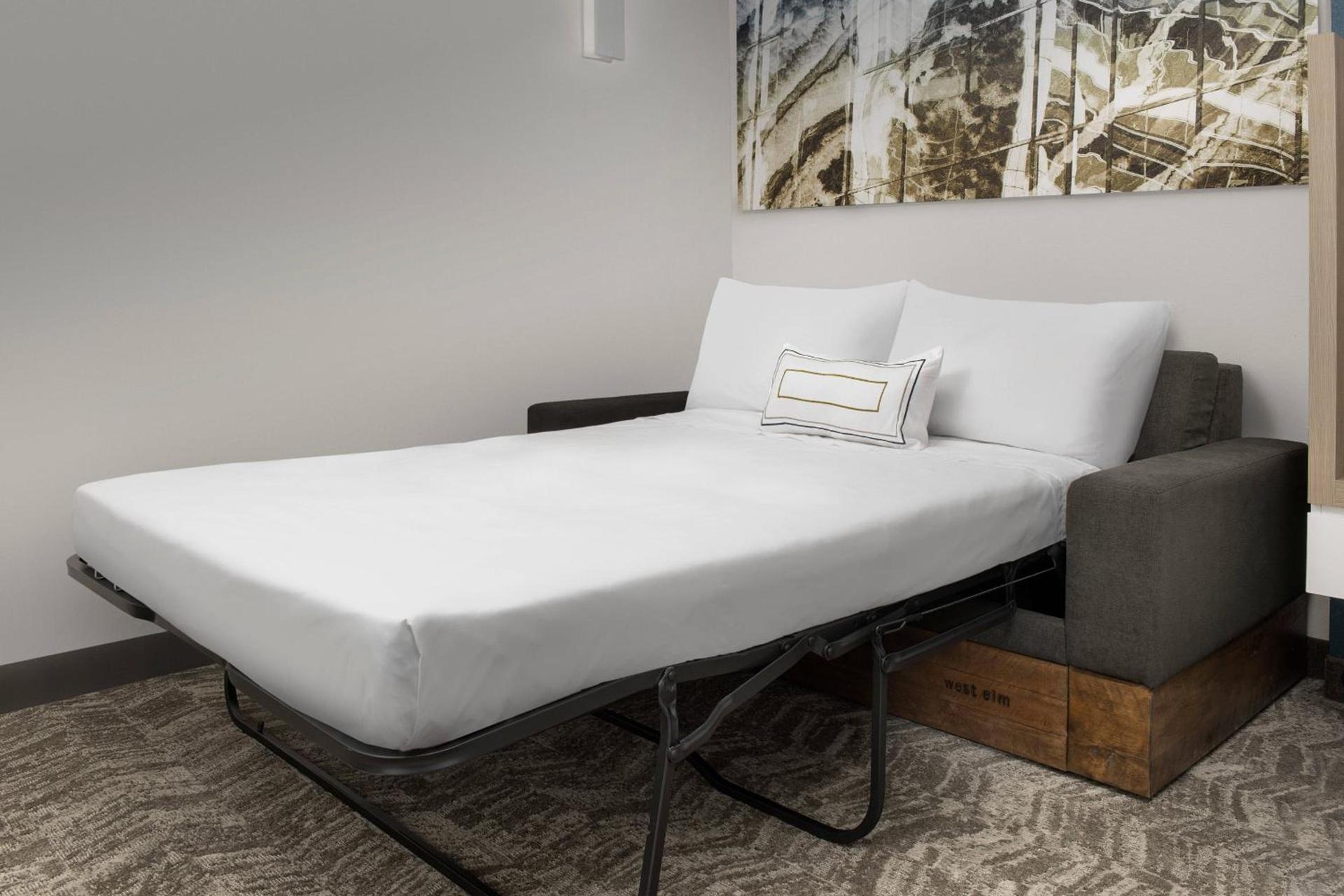 SpringHill Suites by Marriott Atlanta Perimeter Center photo 10