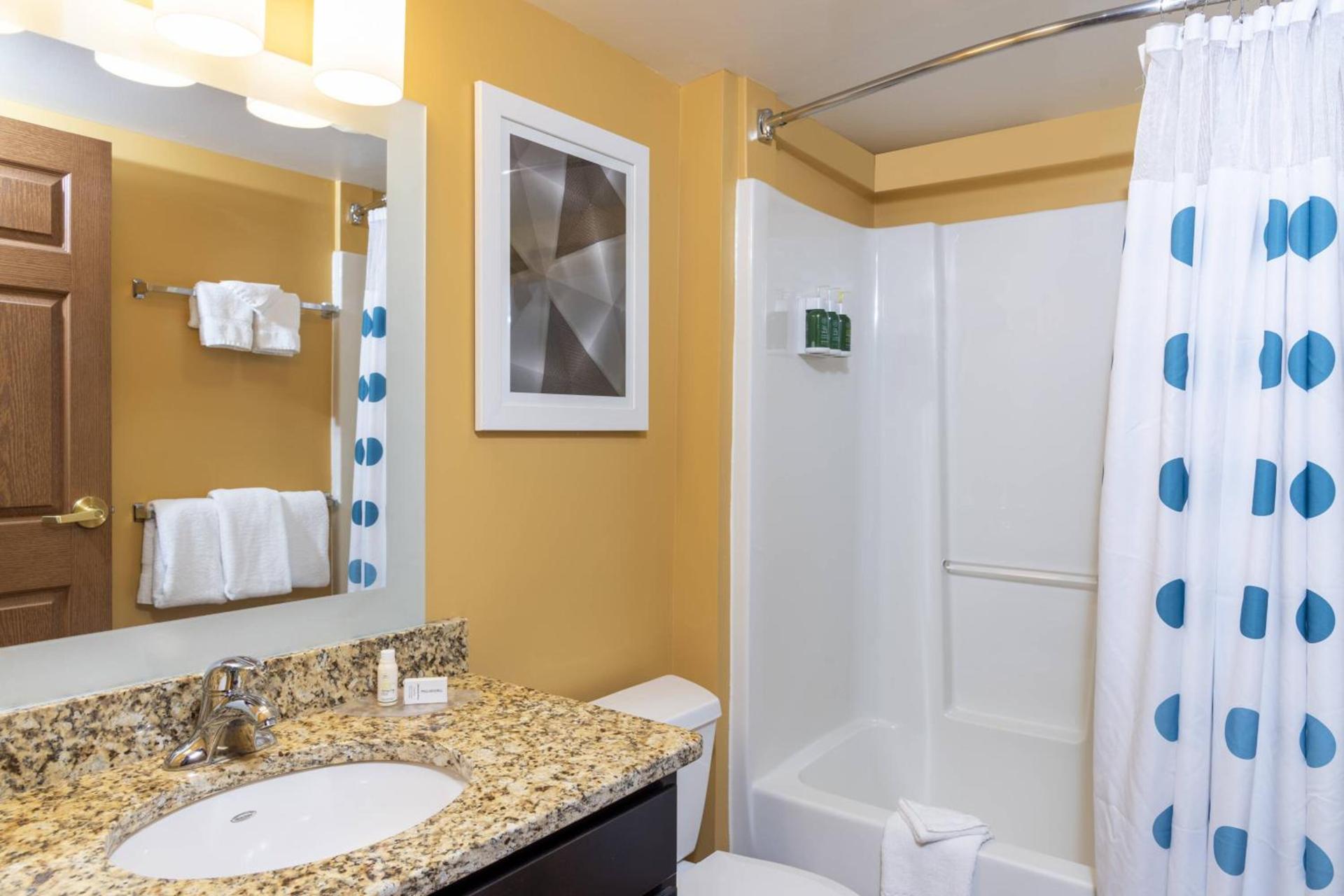 TownePlace Suites by Marriott East Lansing photo 16