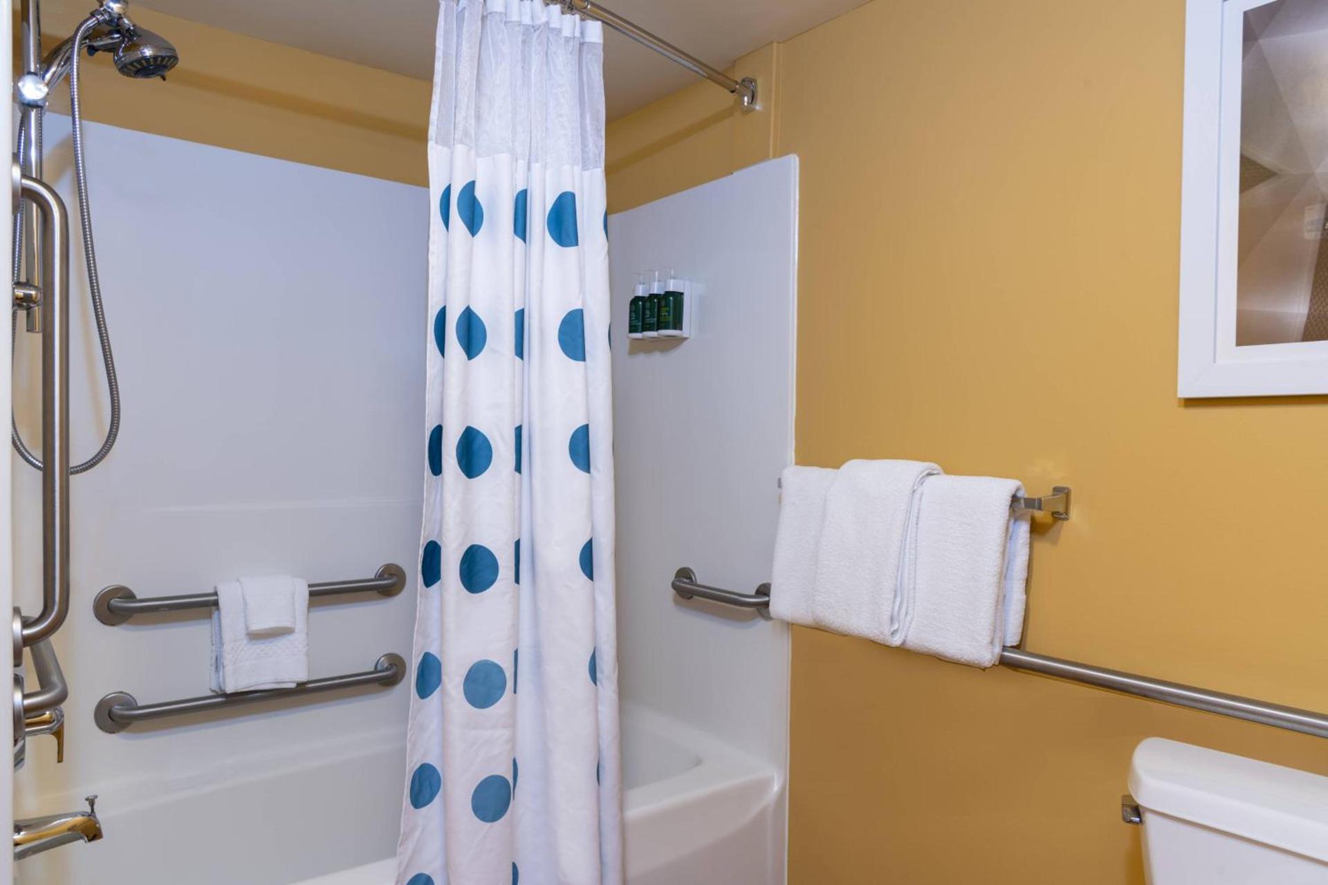 TownePlace Suites by Marriott East Lansing photo 18