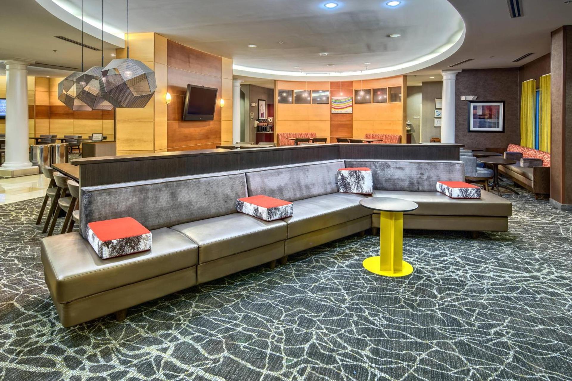 SpringHill Suites by Marriott New Bern photo 3